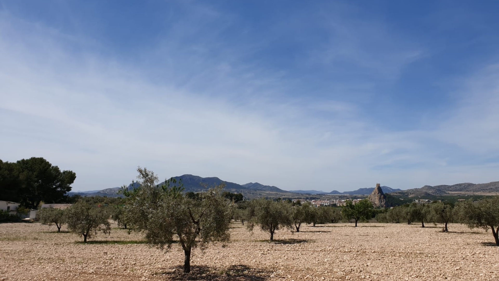 Revente - Terre - Sax - Sax Centro