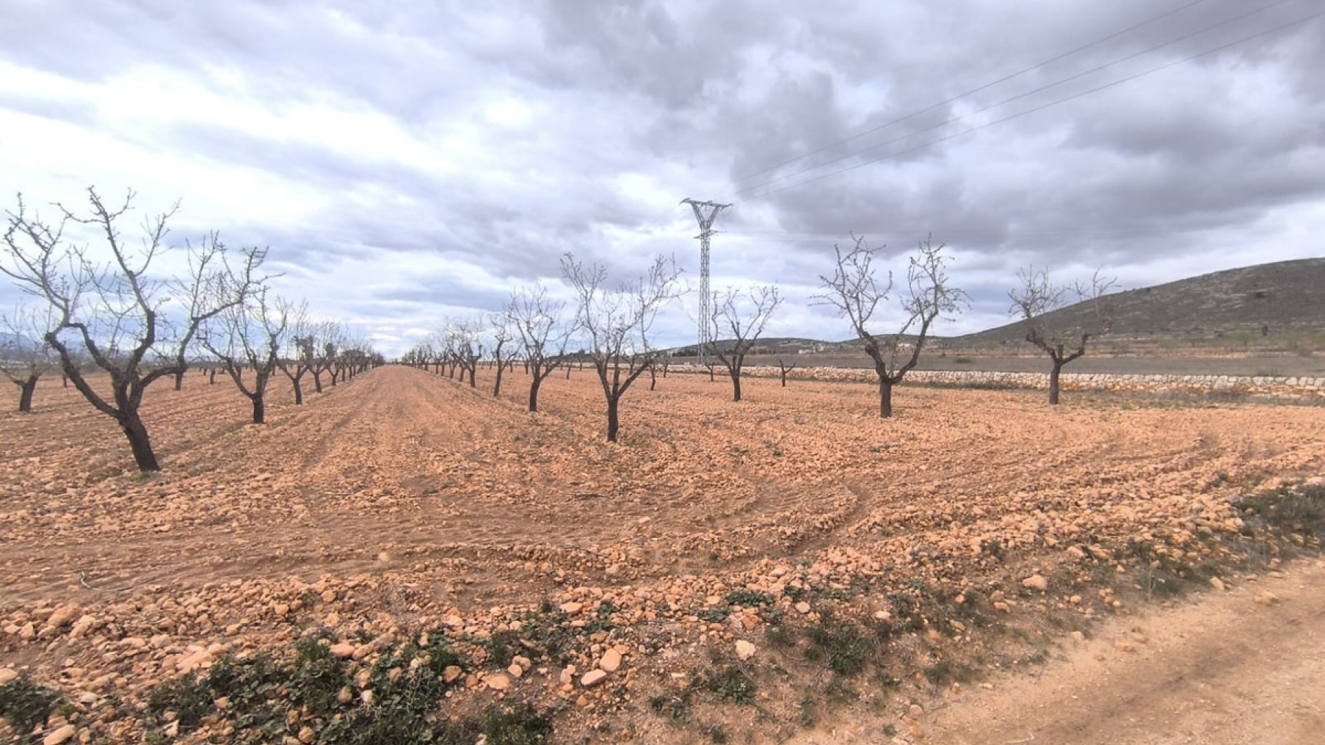 Revente - Terre - Yecla - Raspay