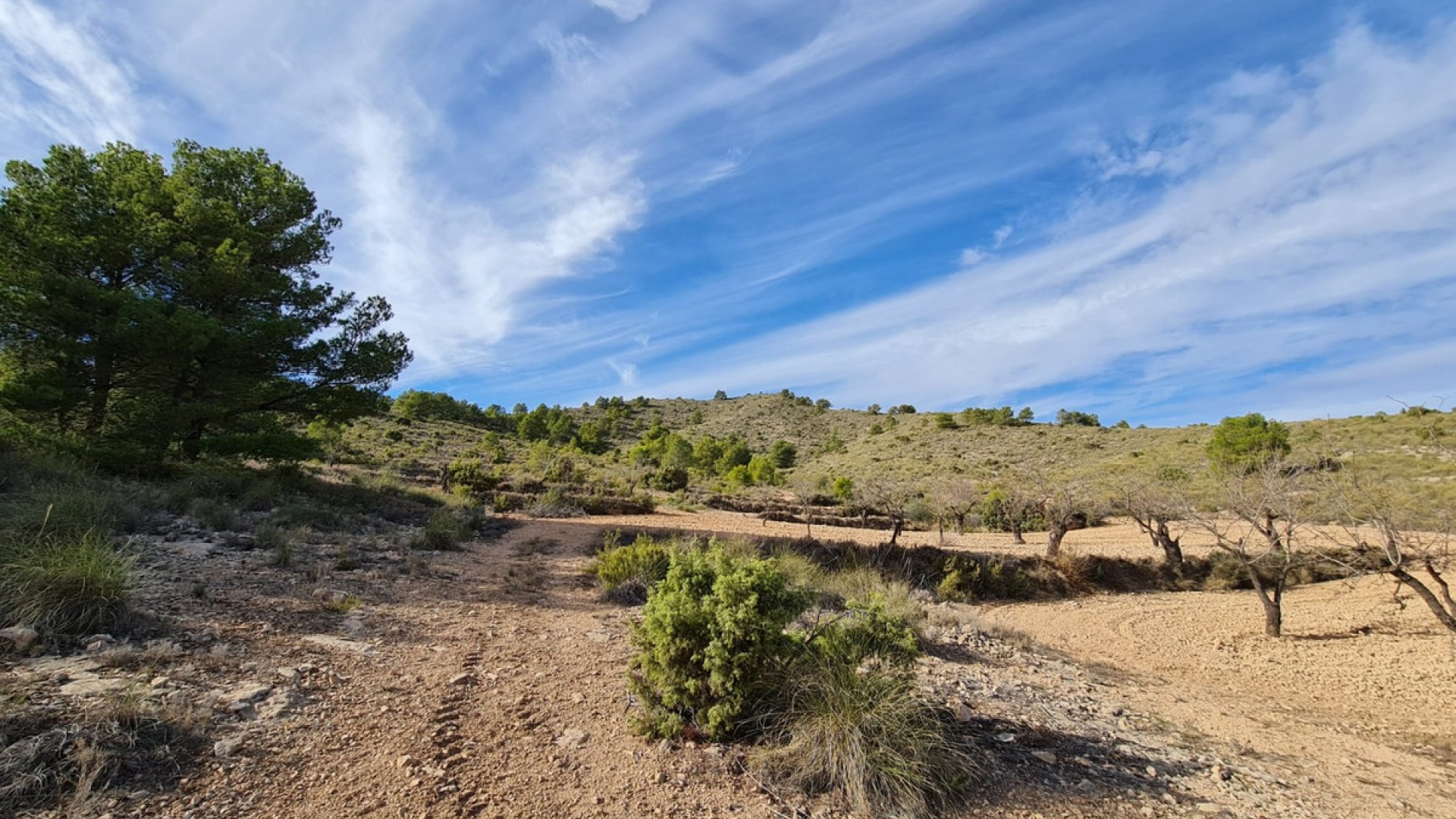 Revente - Terre - Yecla - Raspay