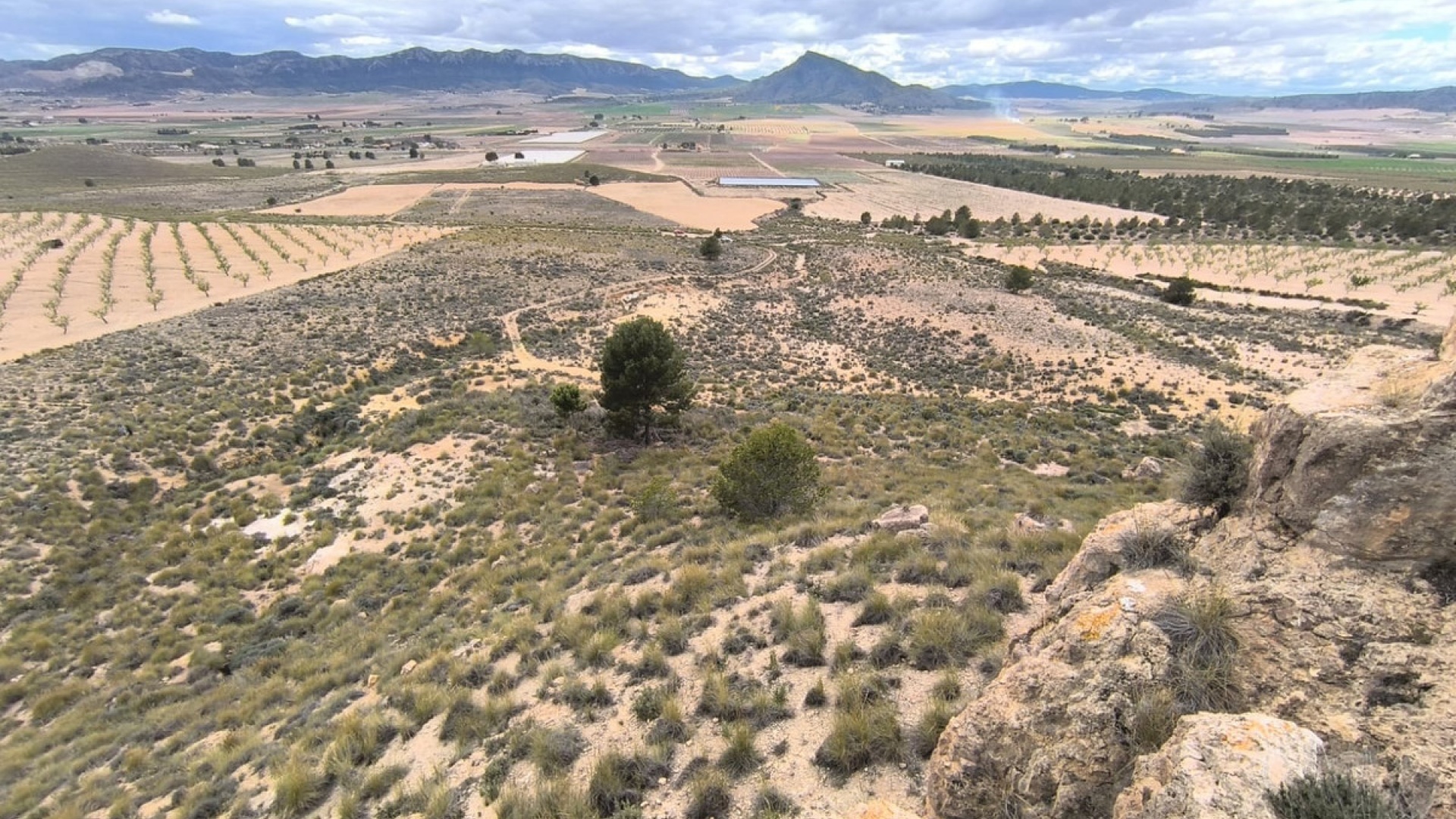 Revente - Terre - Yecla - Yecla Centro