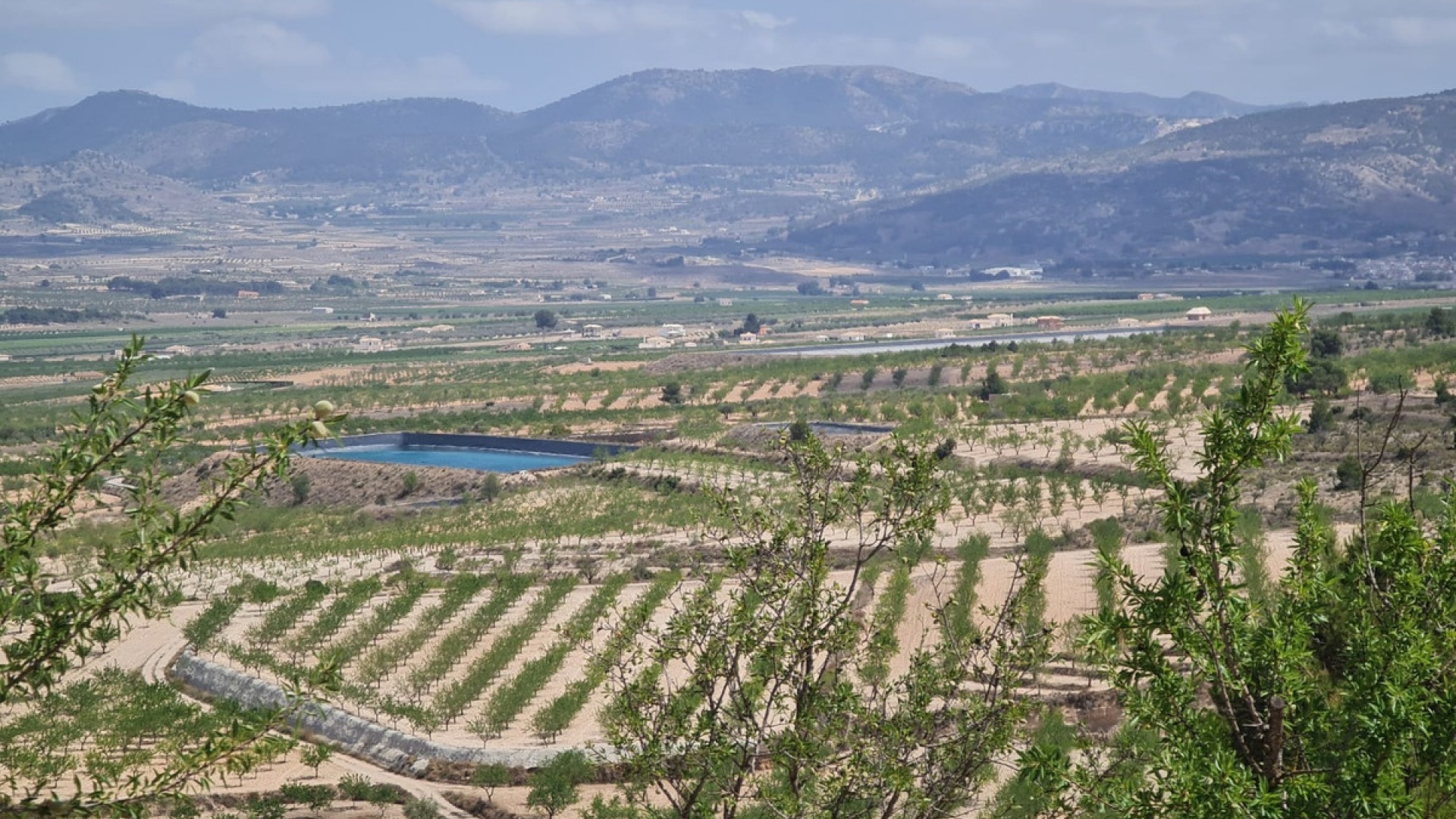 Revente - Terre - Yecla - Yecla Centro