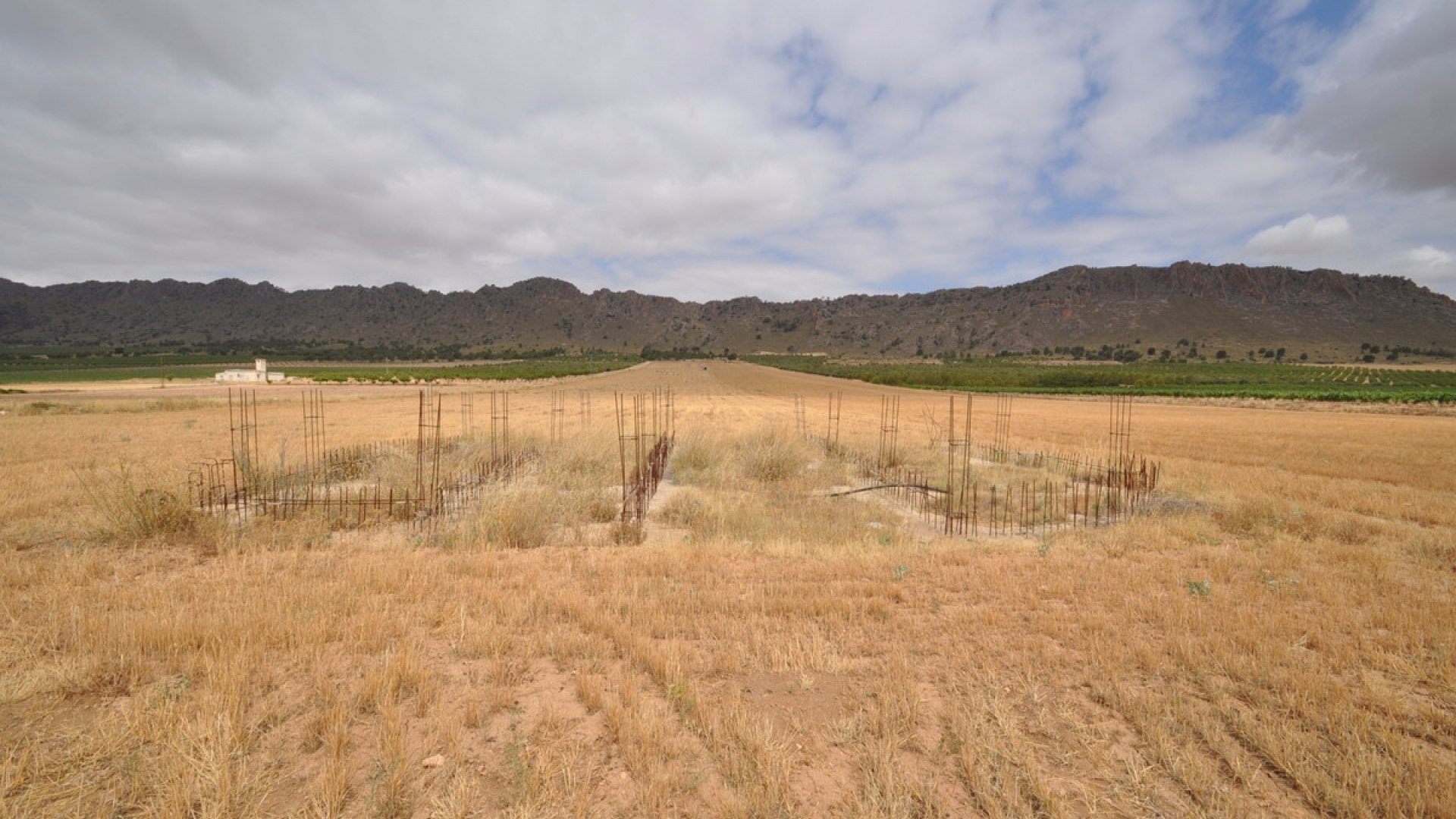 Revente - Terre - Yecla - Yecla Centro