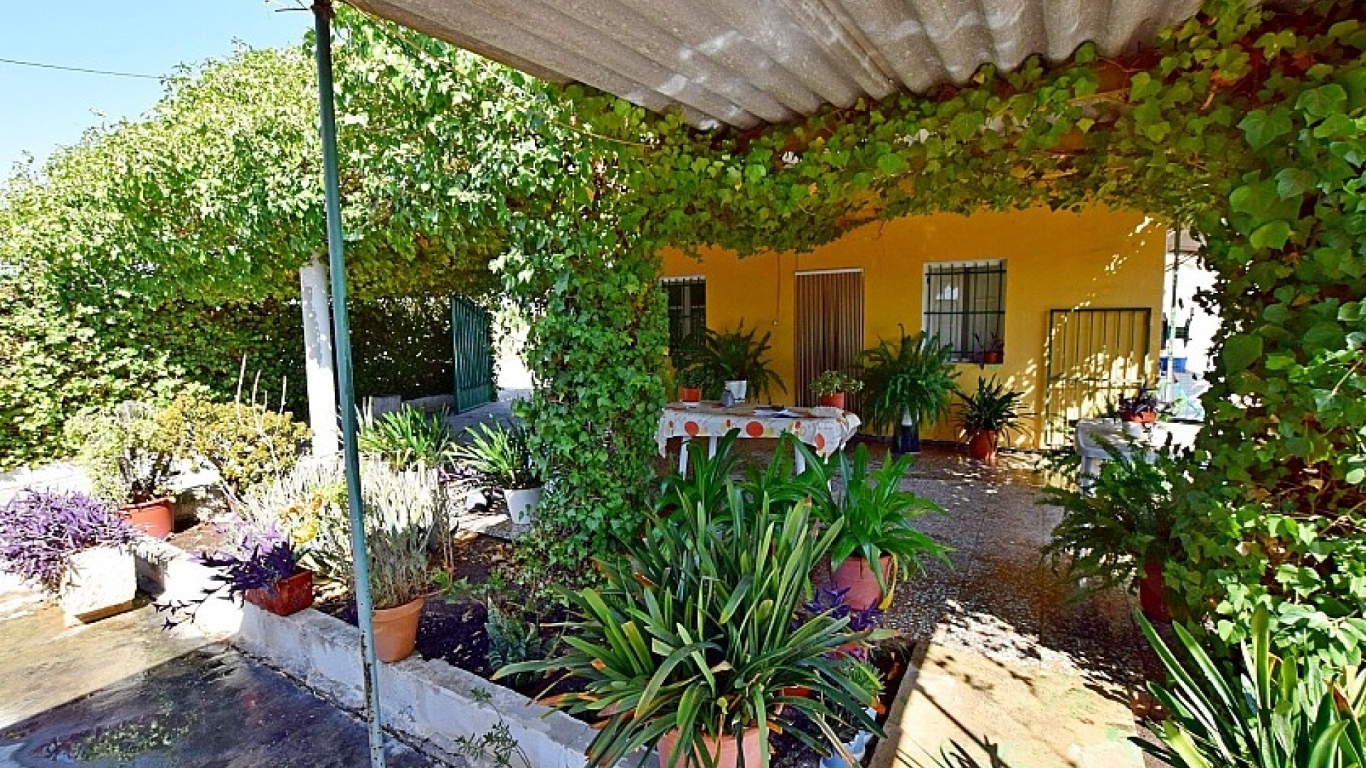 Revente - Villa - Albatera - albatera