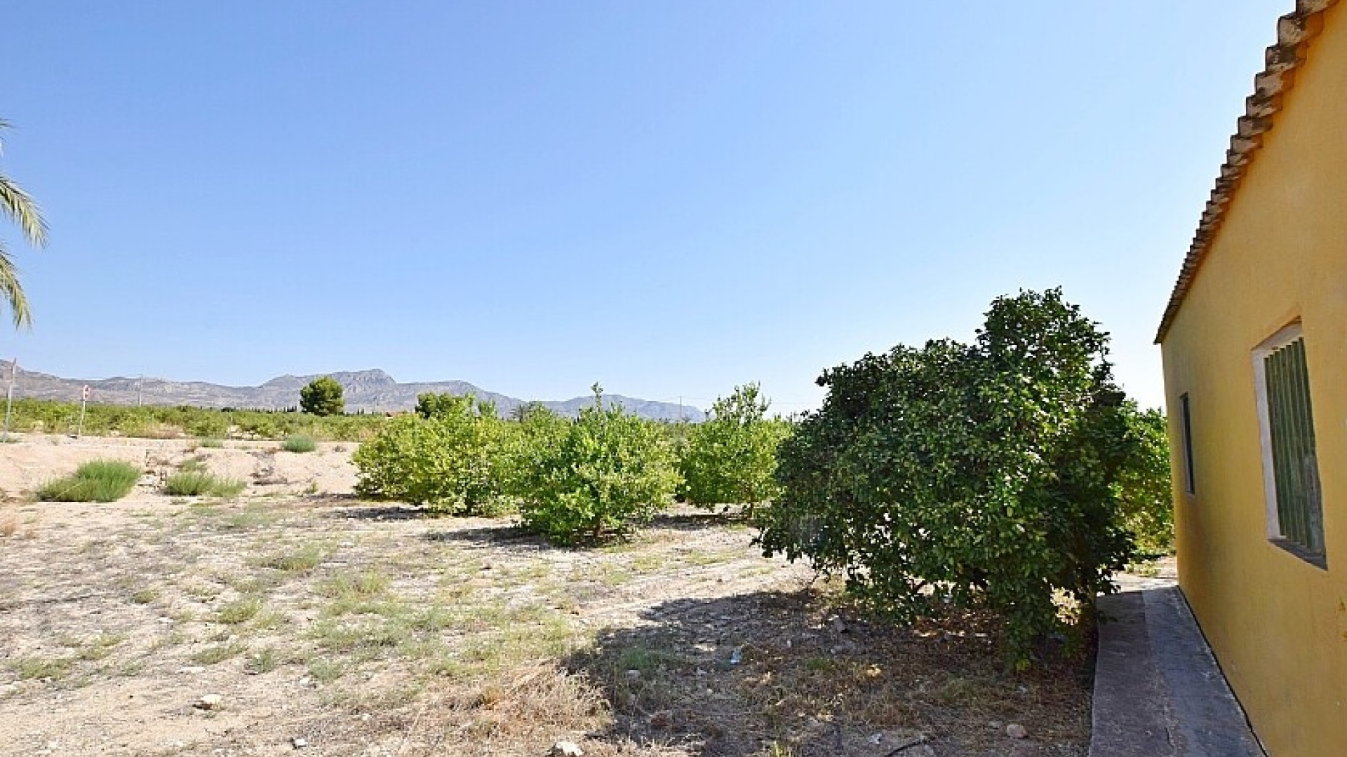 Revente - Villa - Albatera - albatera