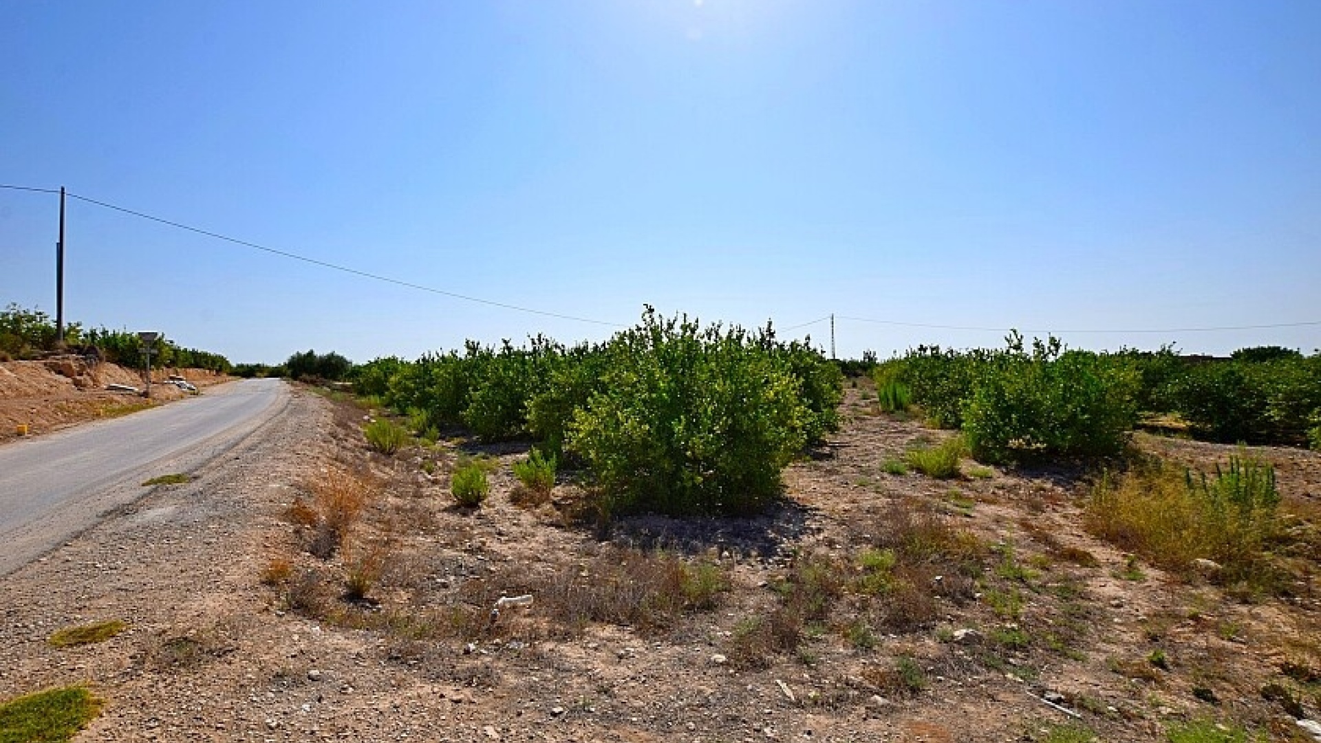Revente - Villa - Albatera - albatera