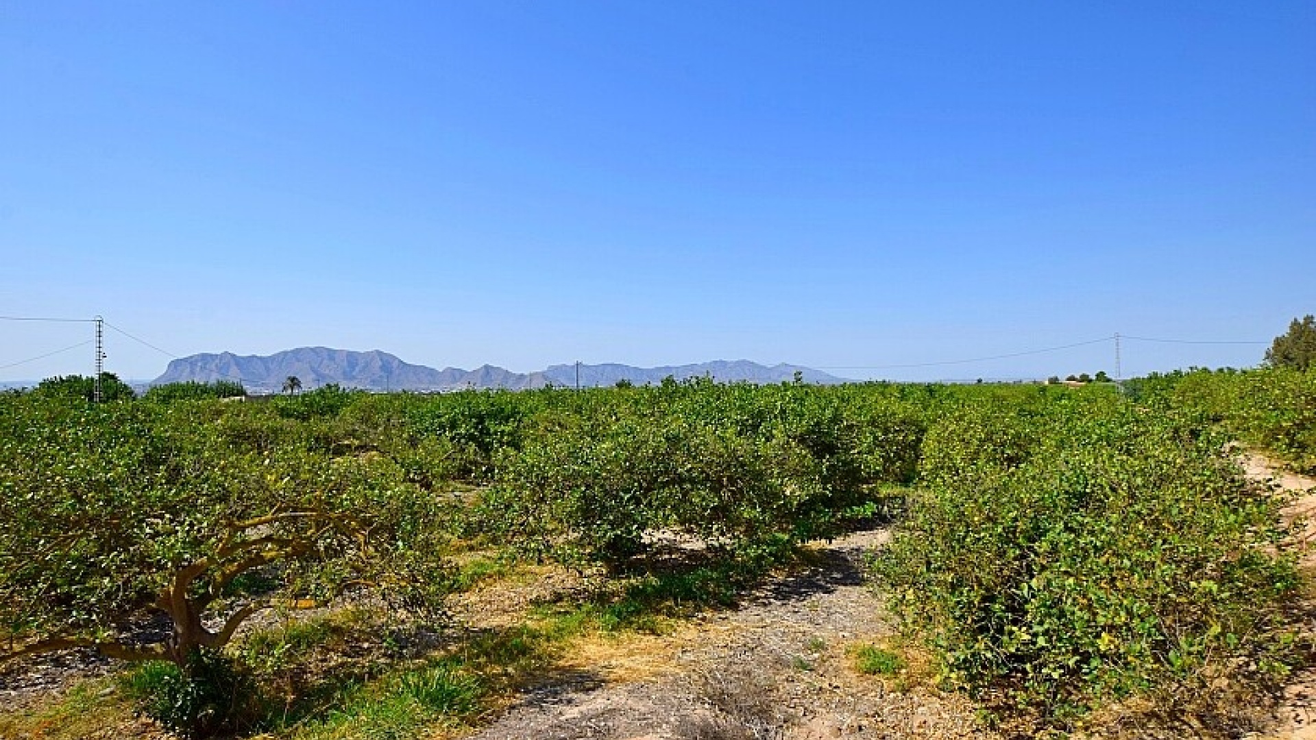 Revente - Villa - Albatera - albatera