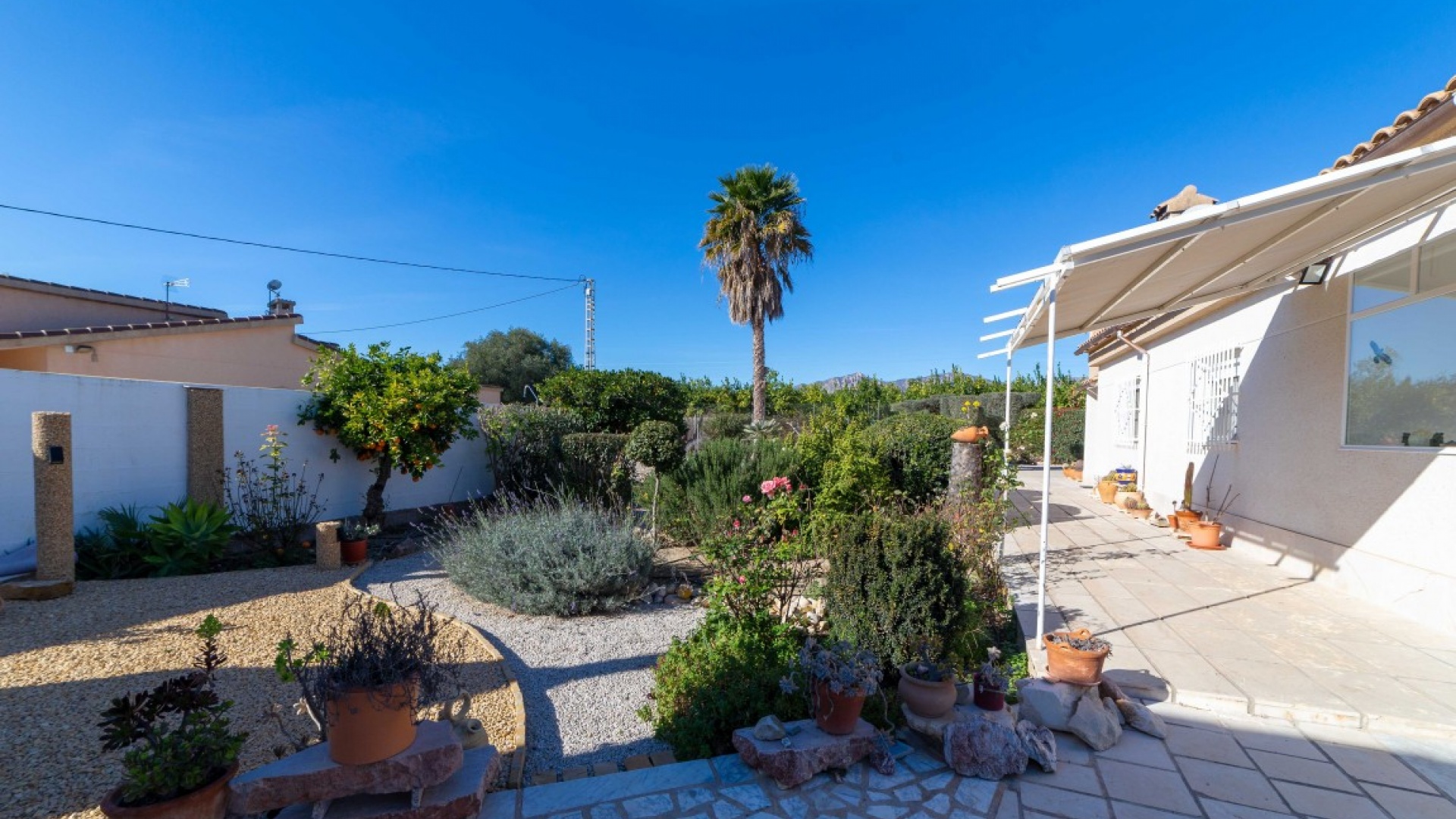 Revente - Villa - Albatera - albatera