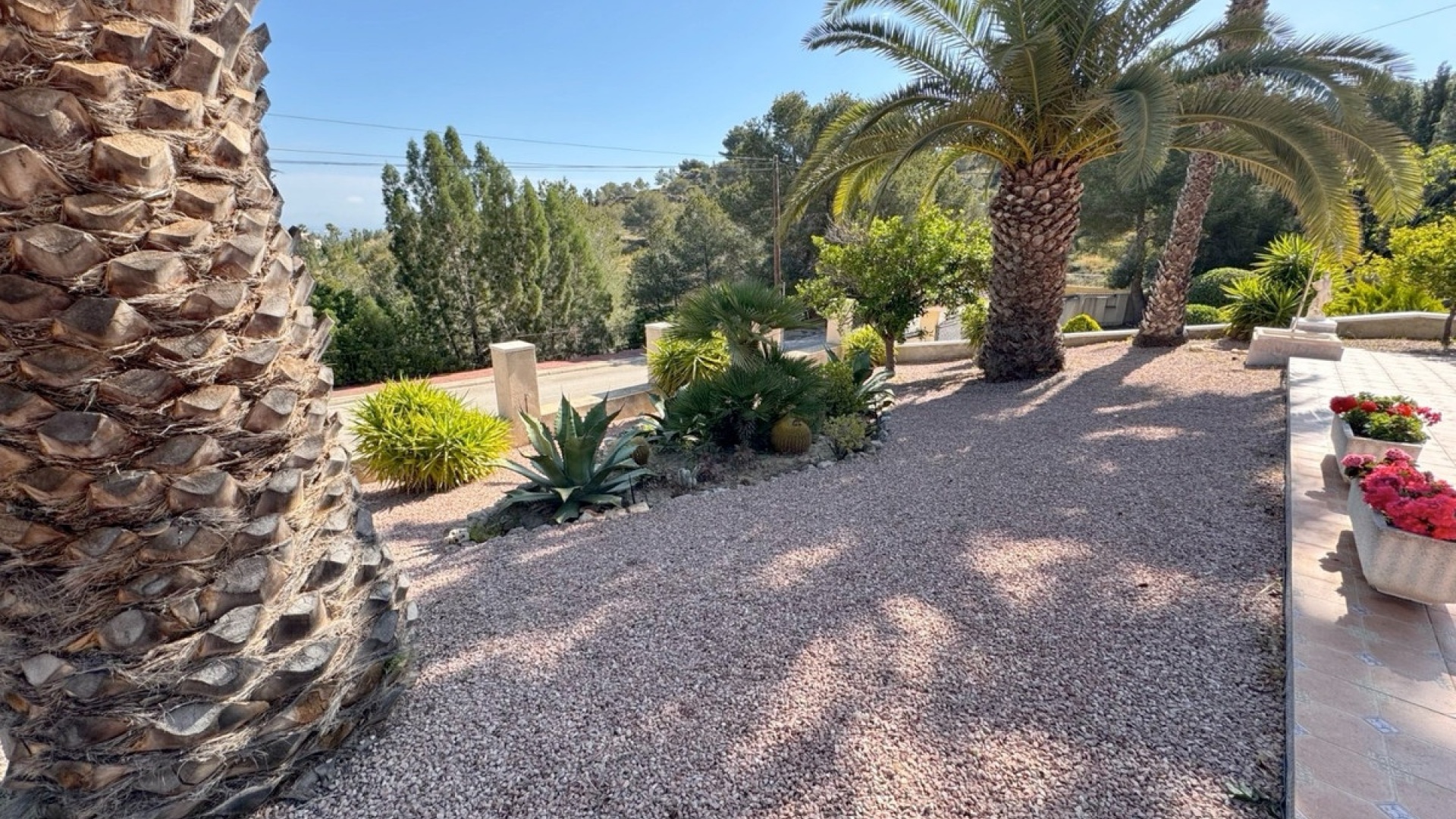 Revente - Villa - Algorfa - Algorfa Centro