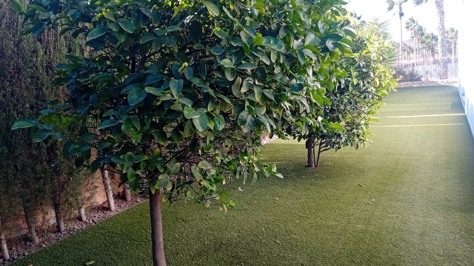 Revente - Villa - Algorfa - La Finca Golf