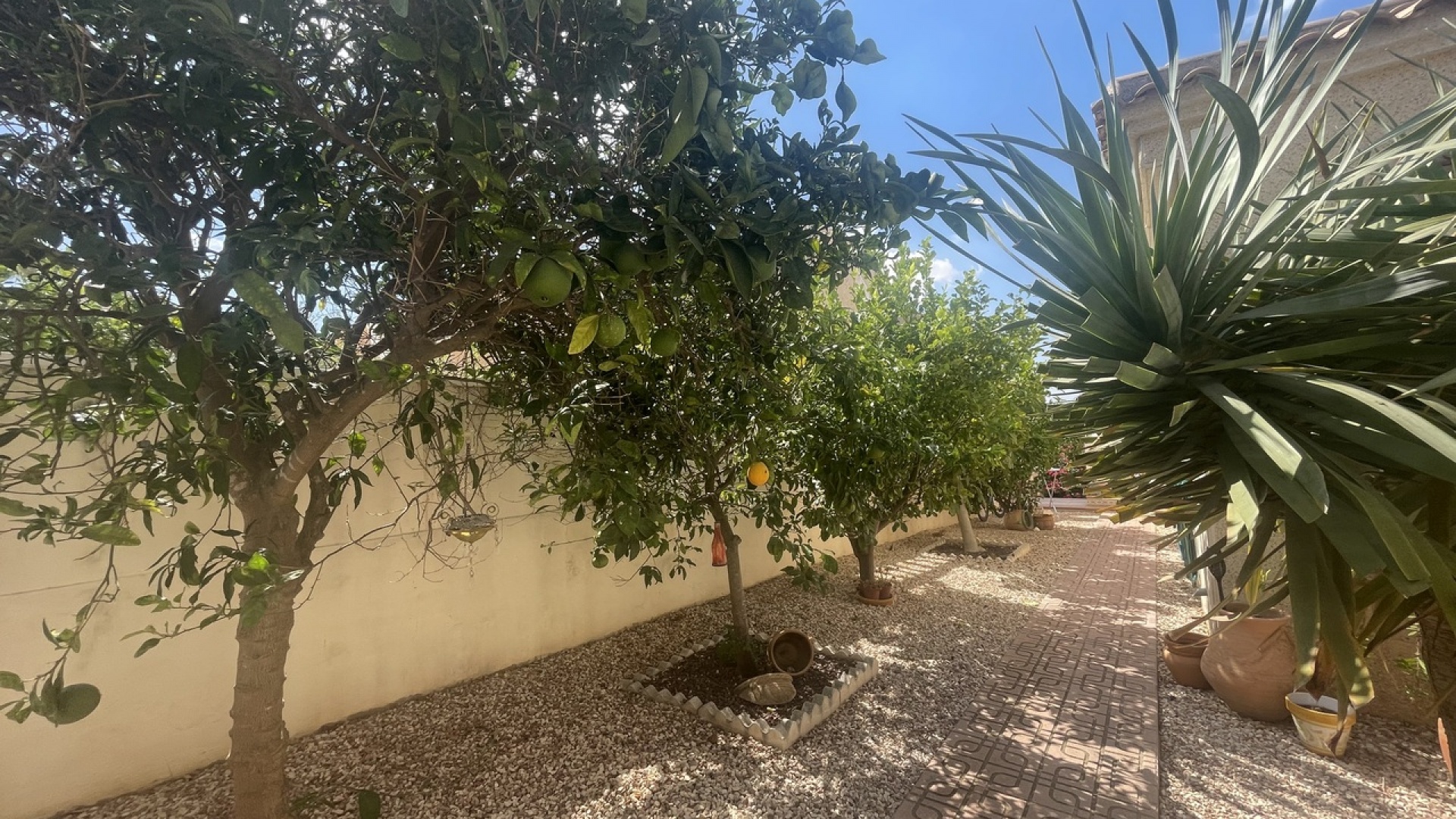 Revente - Villa - Algorfa