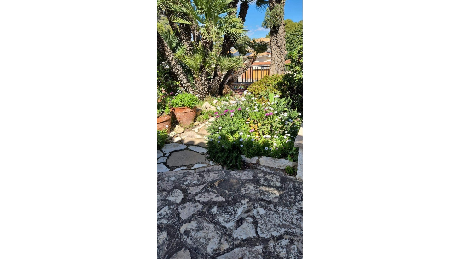 Revente - Villa - Alicante - Alicante Centro