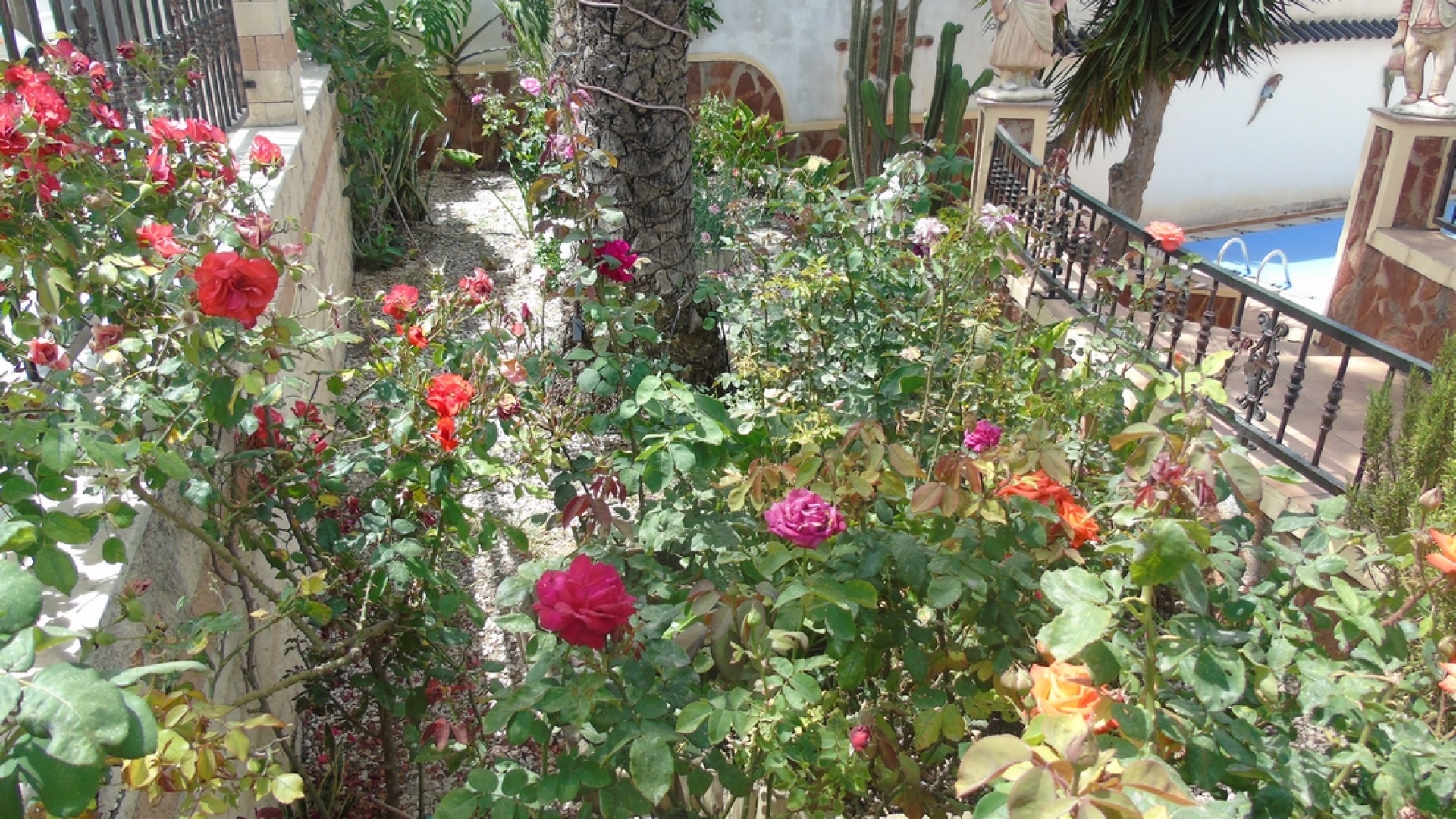 Revente - Villa - Benijofar