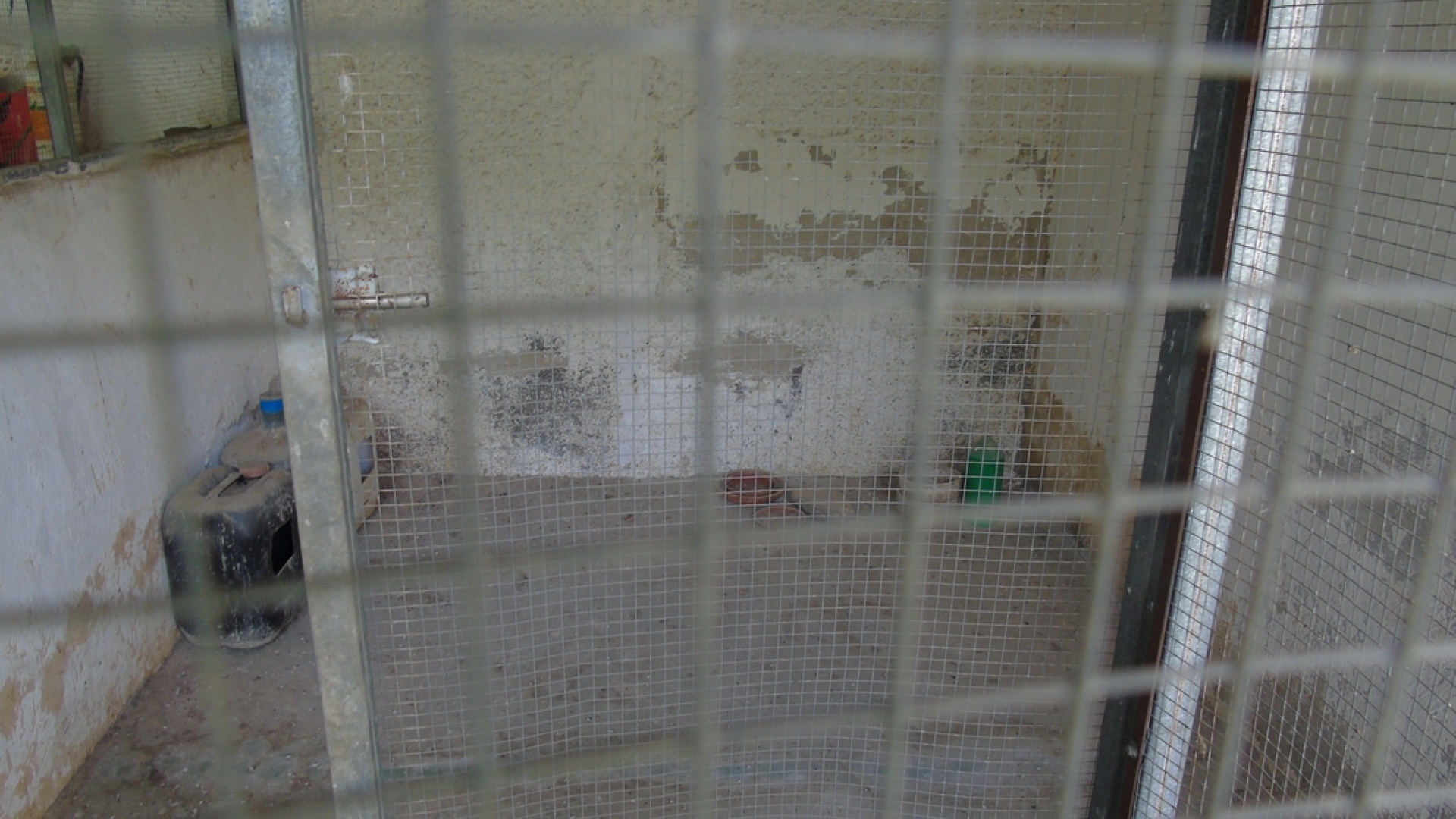 Revente - Villa - Benijofar