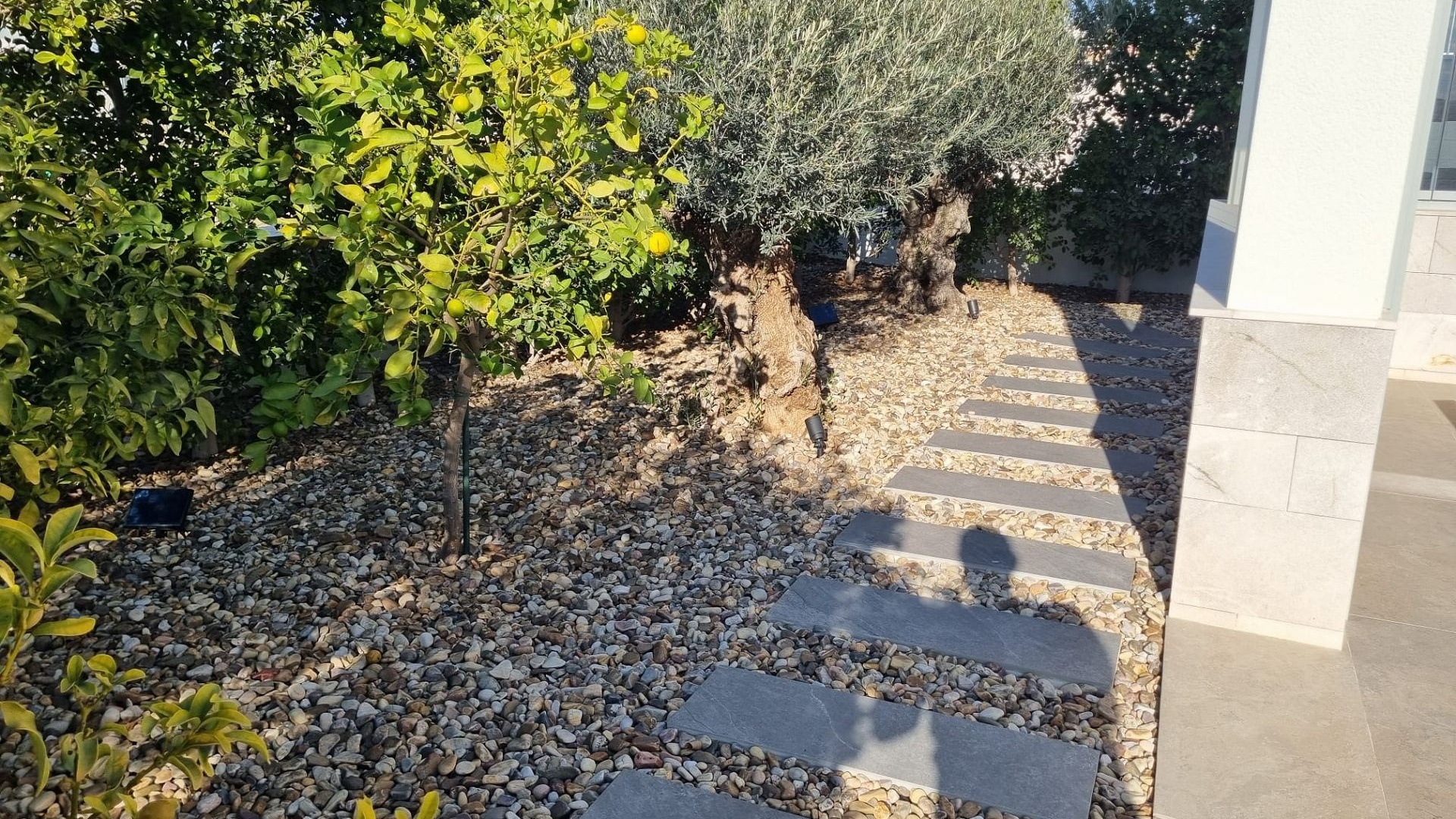 Revente - Villa - Benijofar