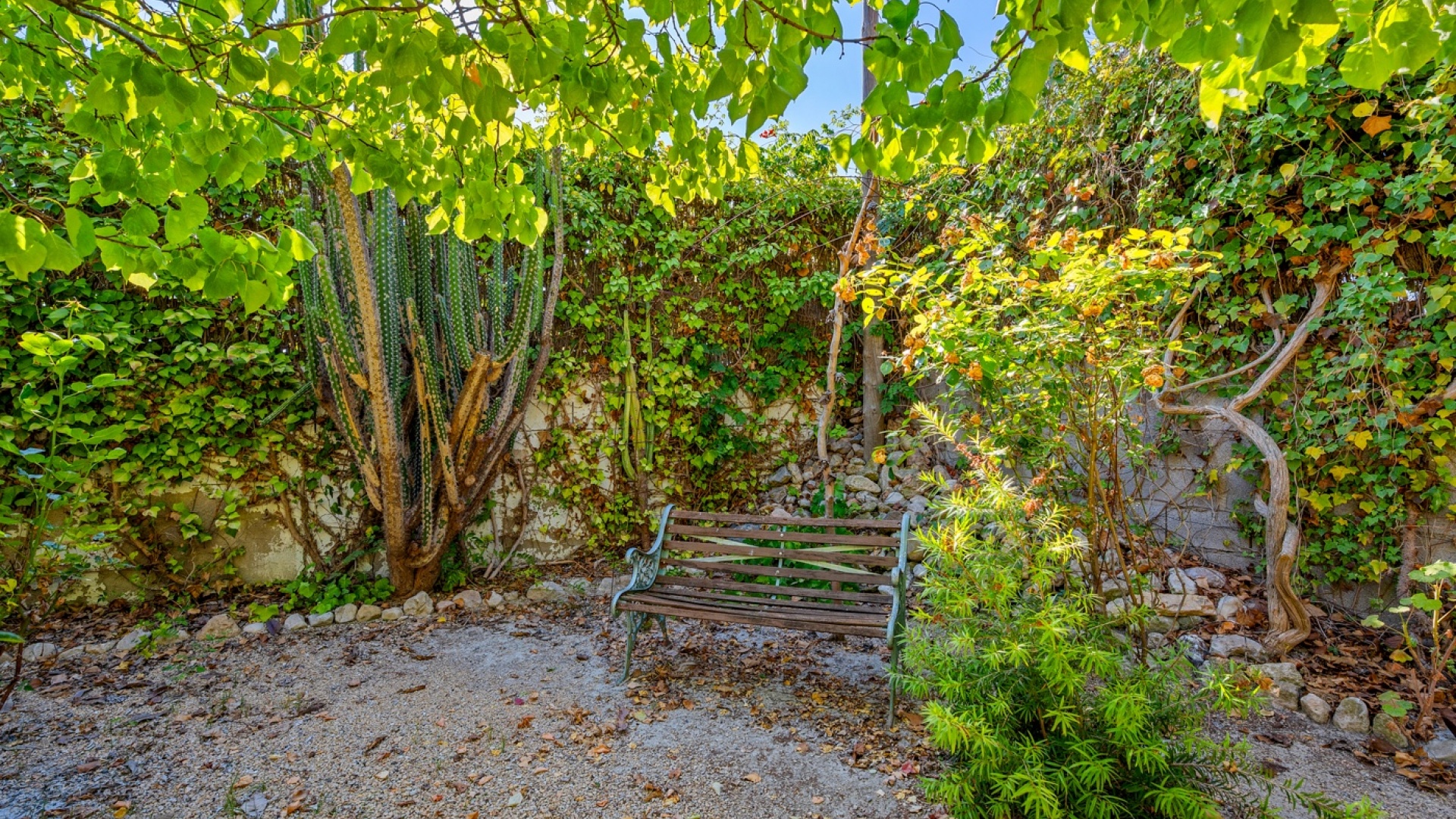 Revente - Villa - Callosa De Segura - Callosa del Segura