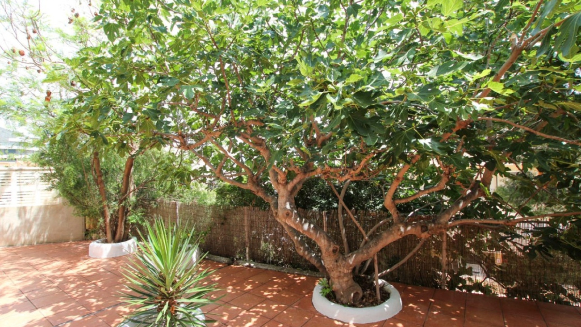 Revente - Villa - Calpe - Calpe Centro