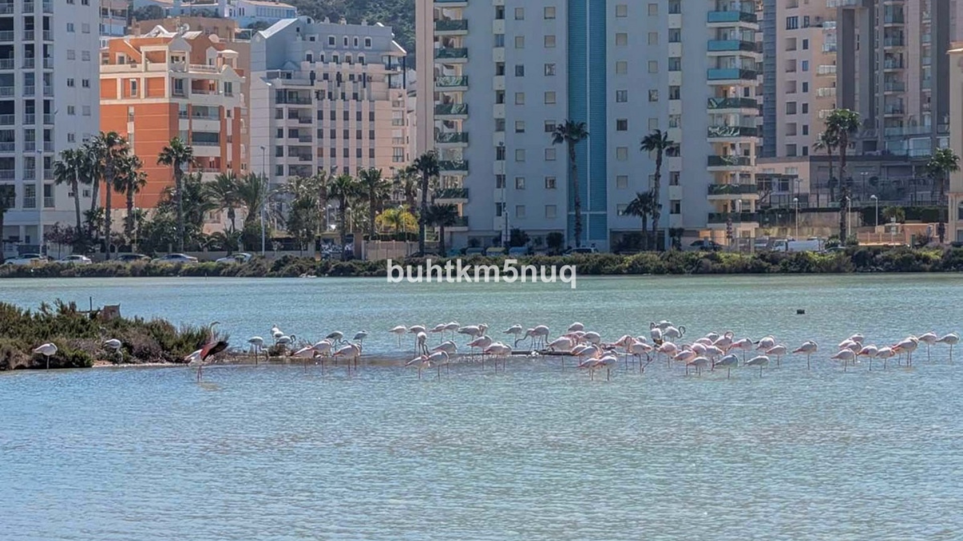 Revente - Villa - Calpe - Calpe Centro