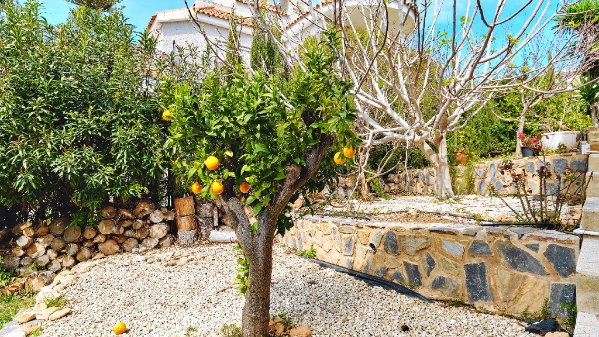 Revente - Villa - Campoamor - Dehesa de Campoamor