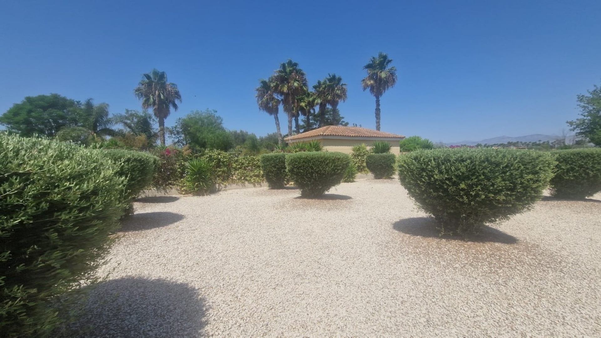 Revente - Villa - Catral - Catral Centro