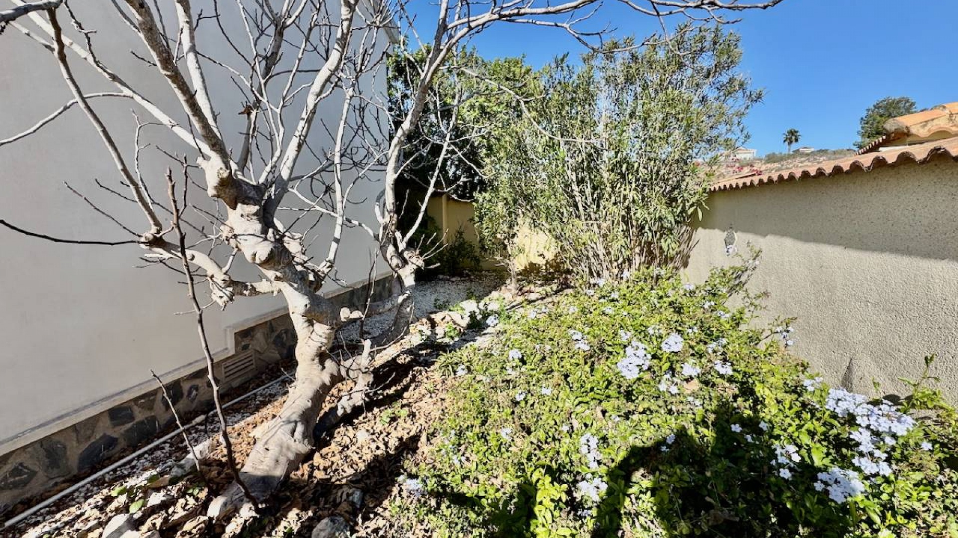 Revente - Villa - Ciudad Quesada - Lo Pepin