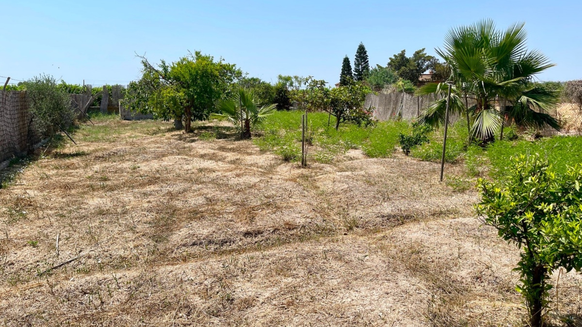 Revente - Villa - Daya Nueva - Daya Nueva Centro