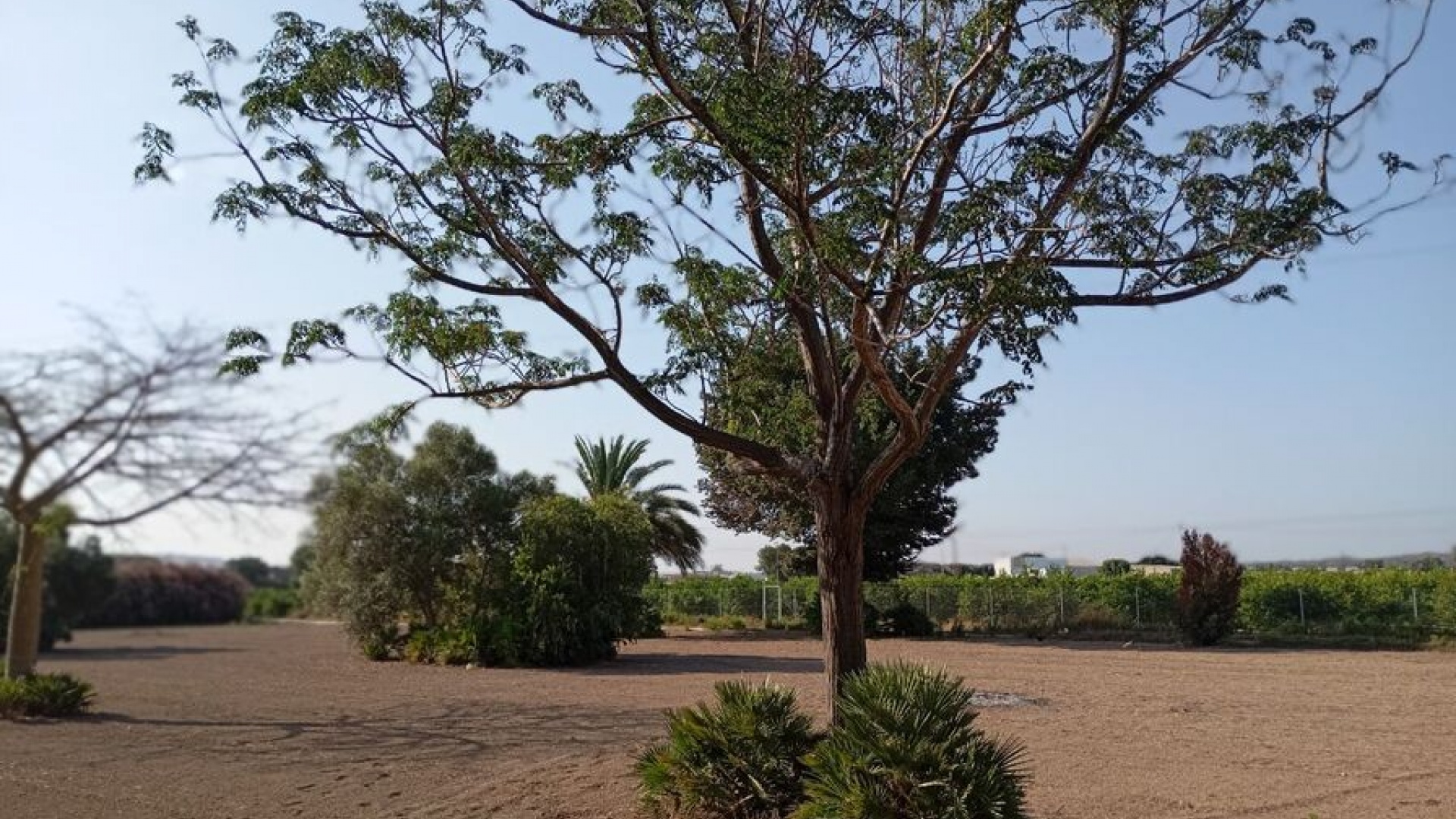 Revente - Villa - Daya Nueva