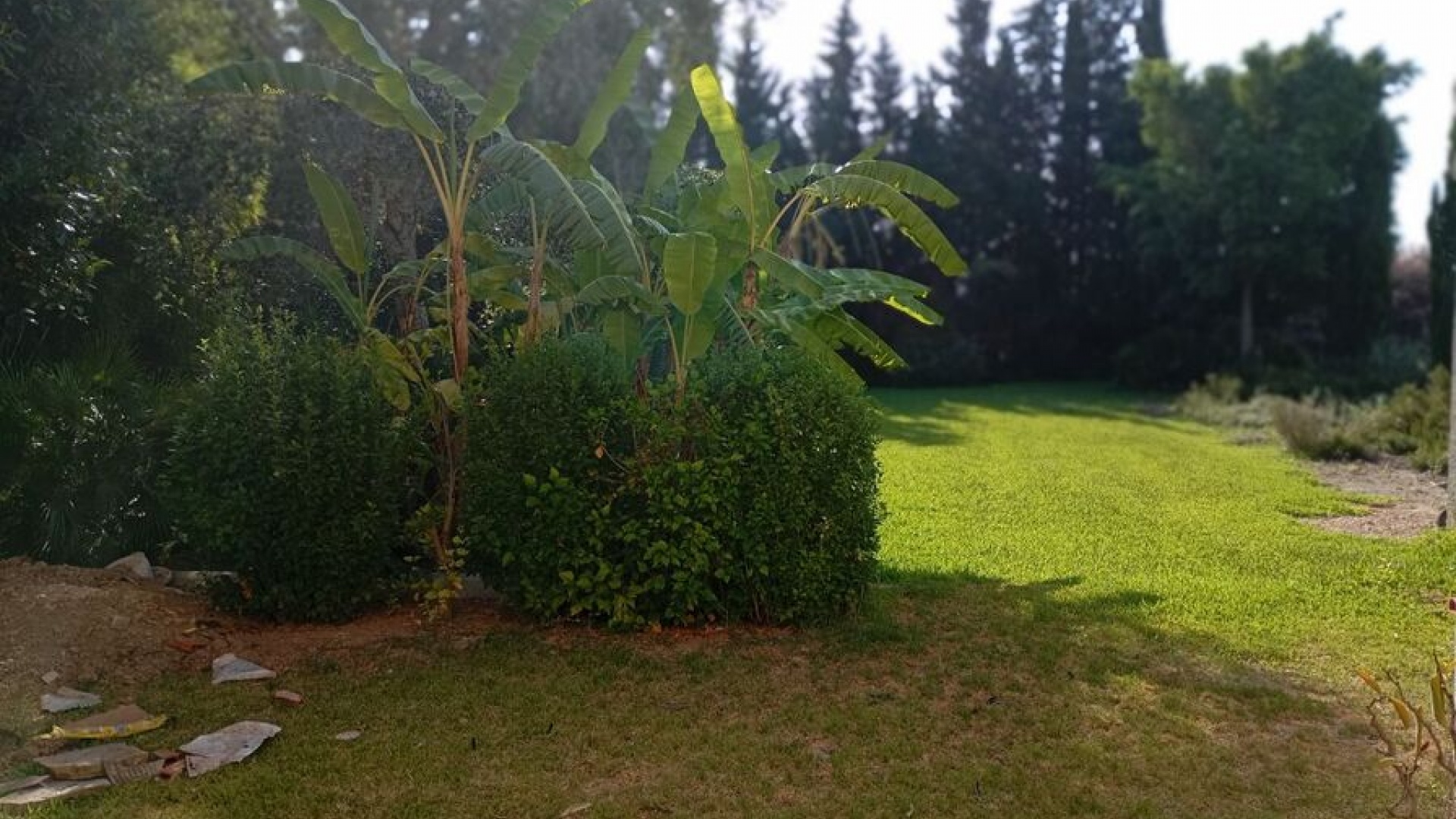 Revente - Villa - Daya Nueva