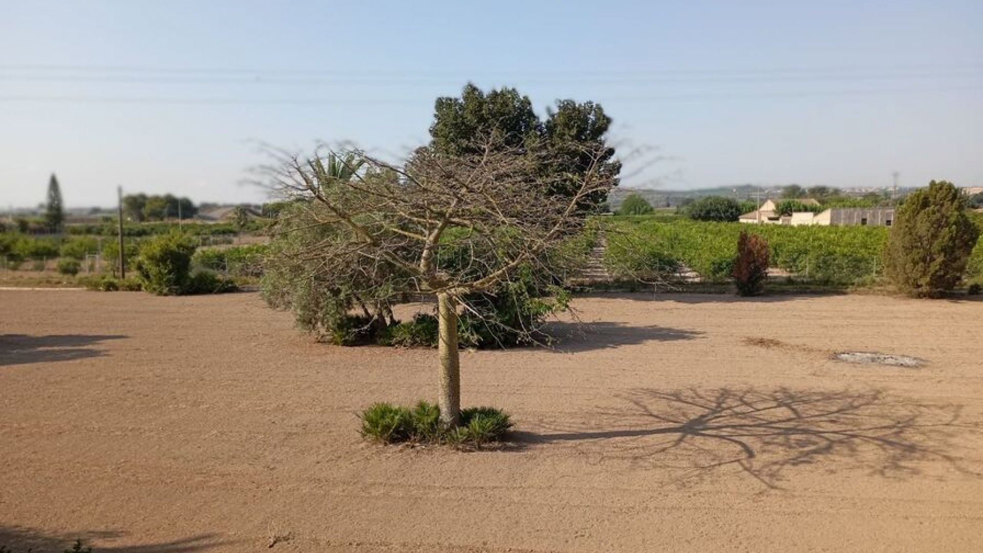 Revente - Villa - Daya Nueva