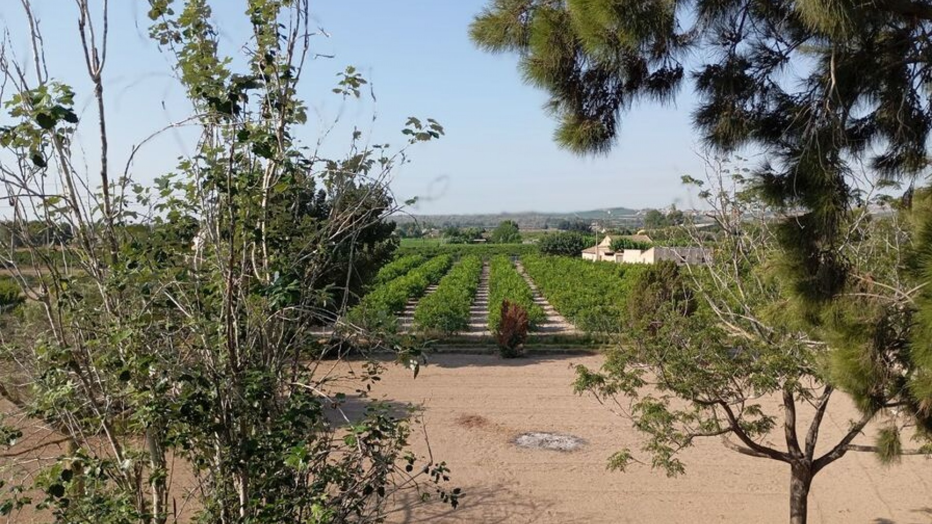 Revente - Villa - Daya Nueva