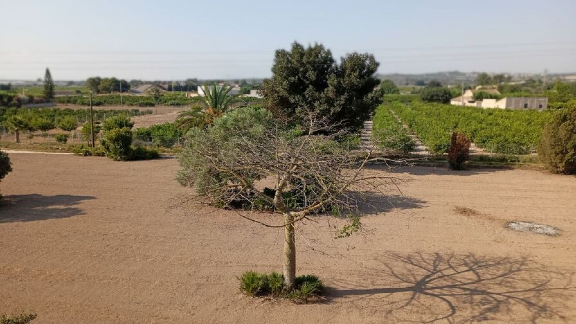 Revente - Villa - Daya Nueva