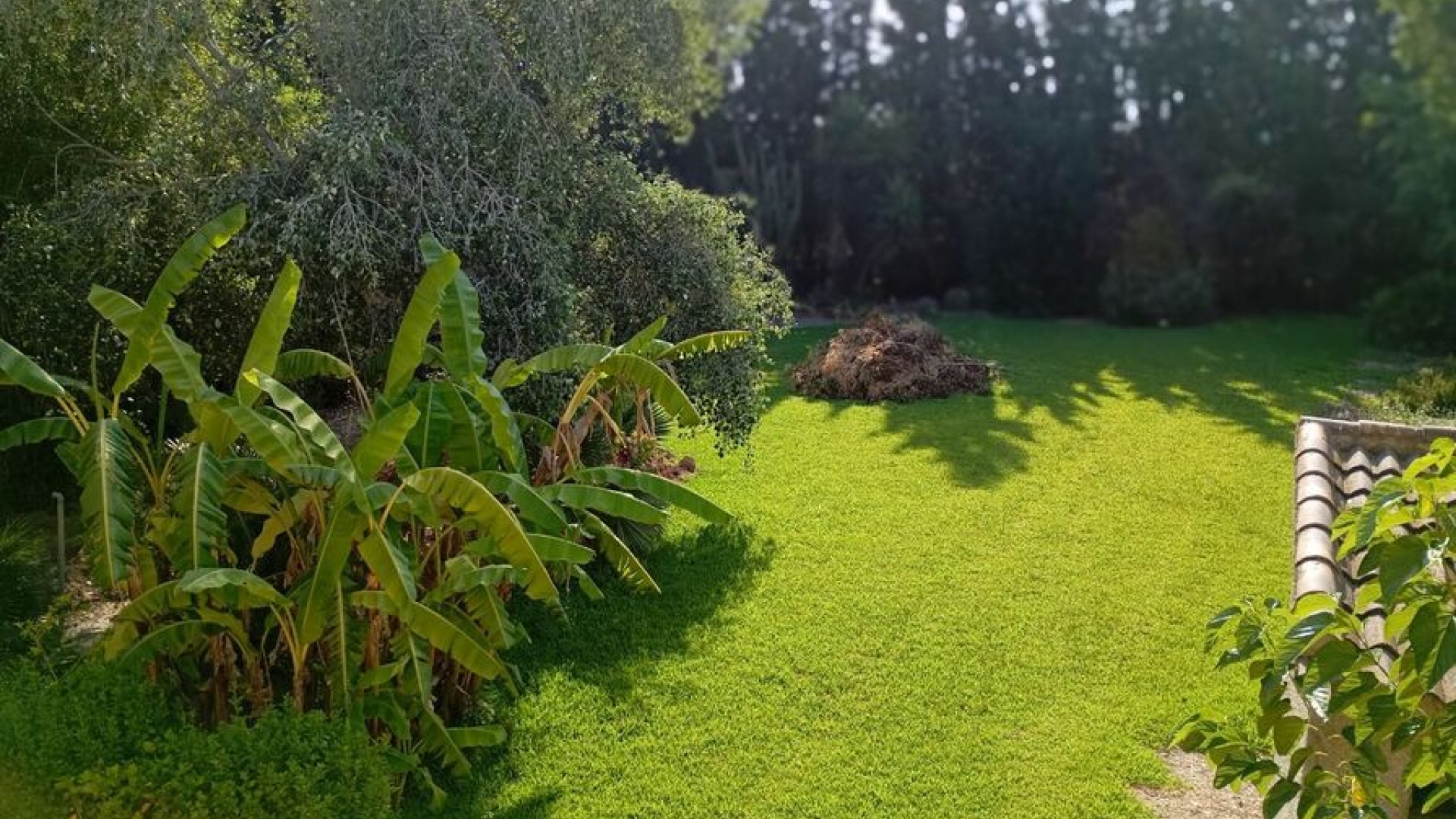 Revente - Villa - Daya Nueva