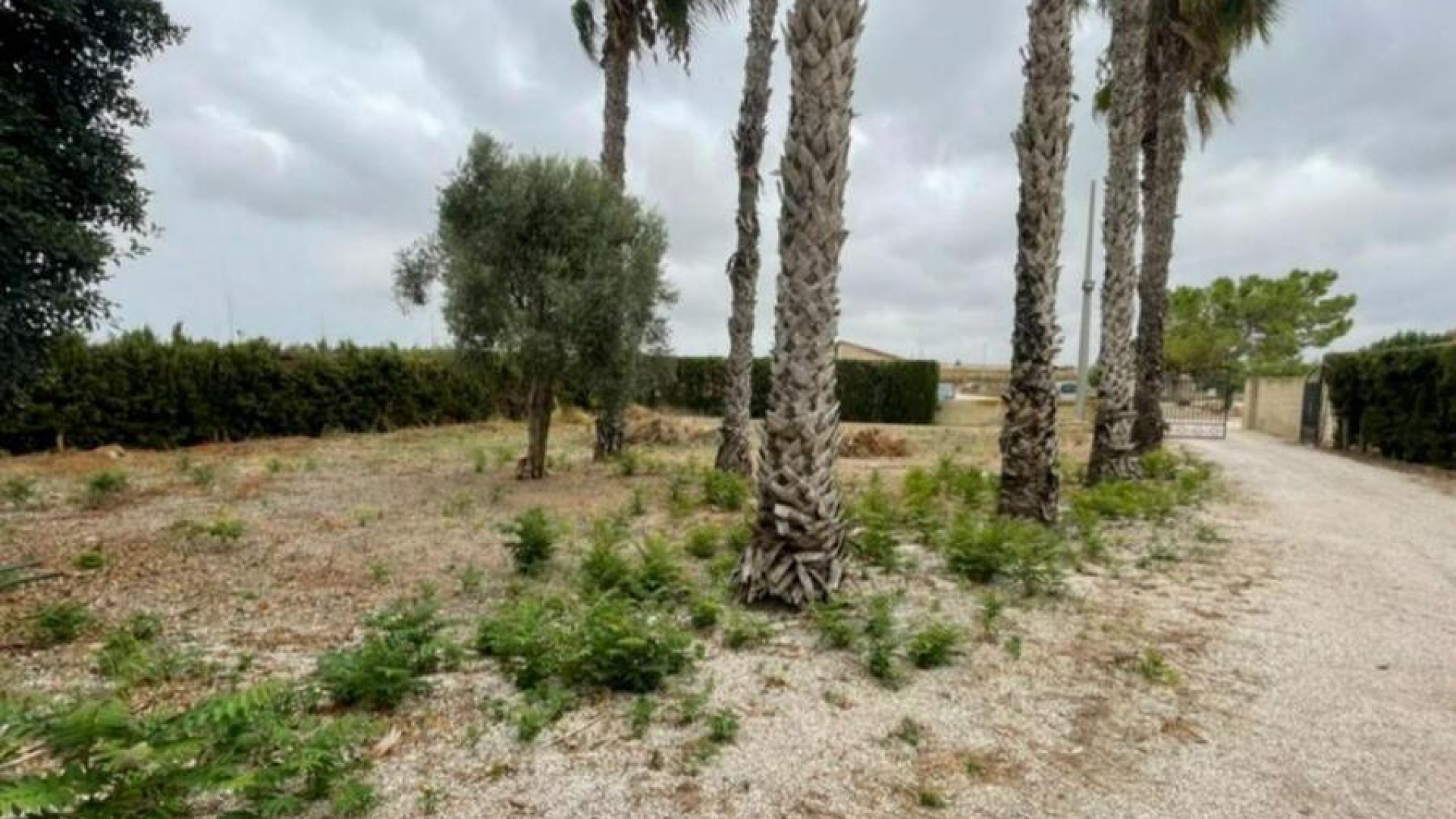 Revente - Villa - Daya Vieja