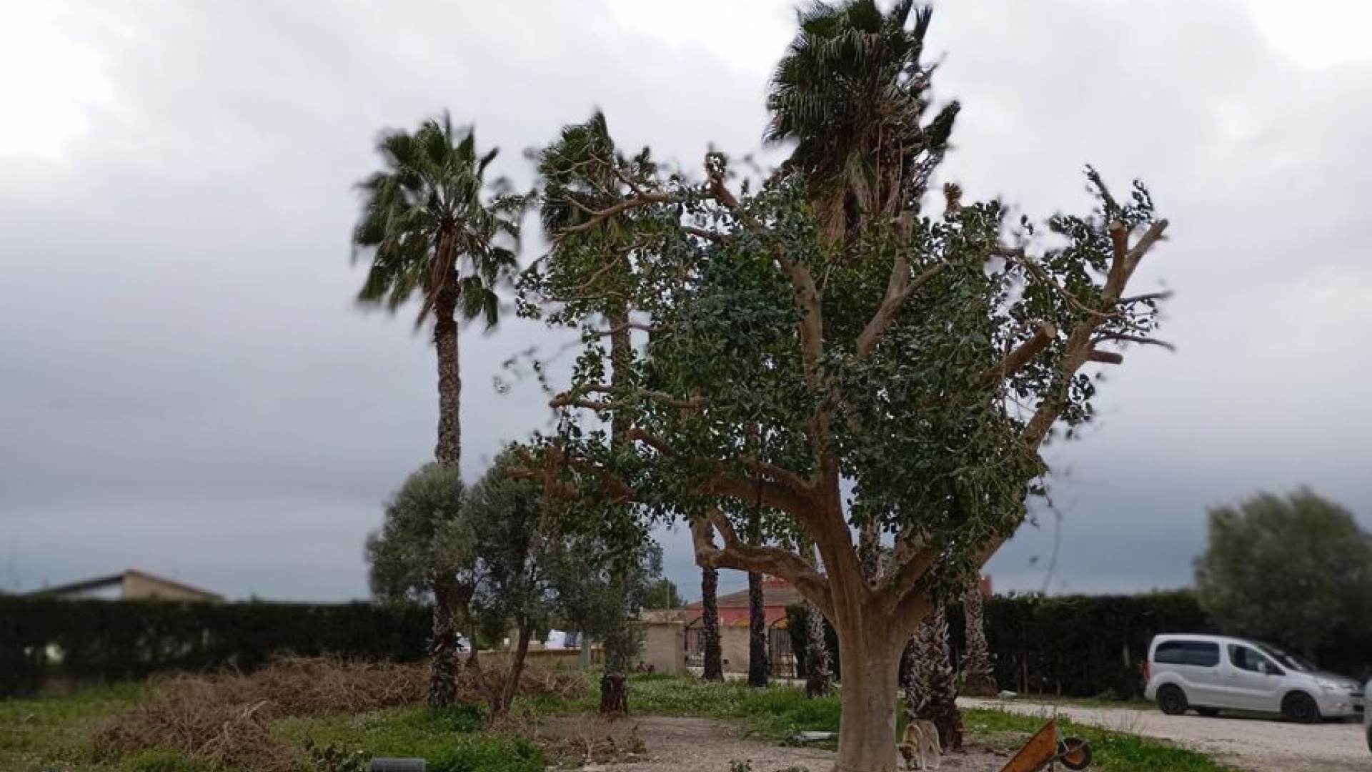 Revente - Villa - Daya Vieja