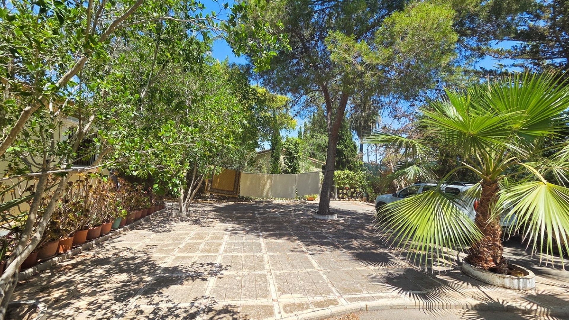 Revente - Villa - Elche - Elche Centro