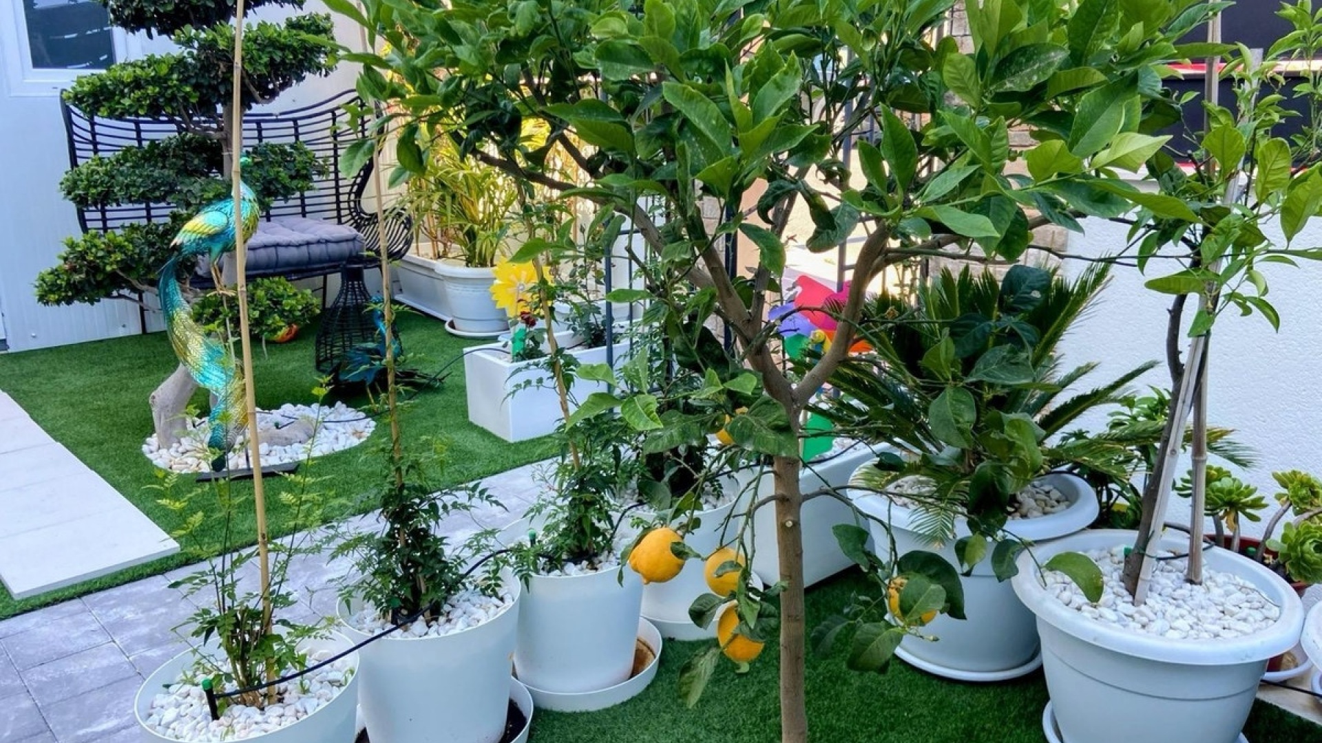 Revente - Villa - Finestrat