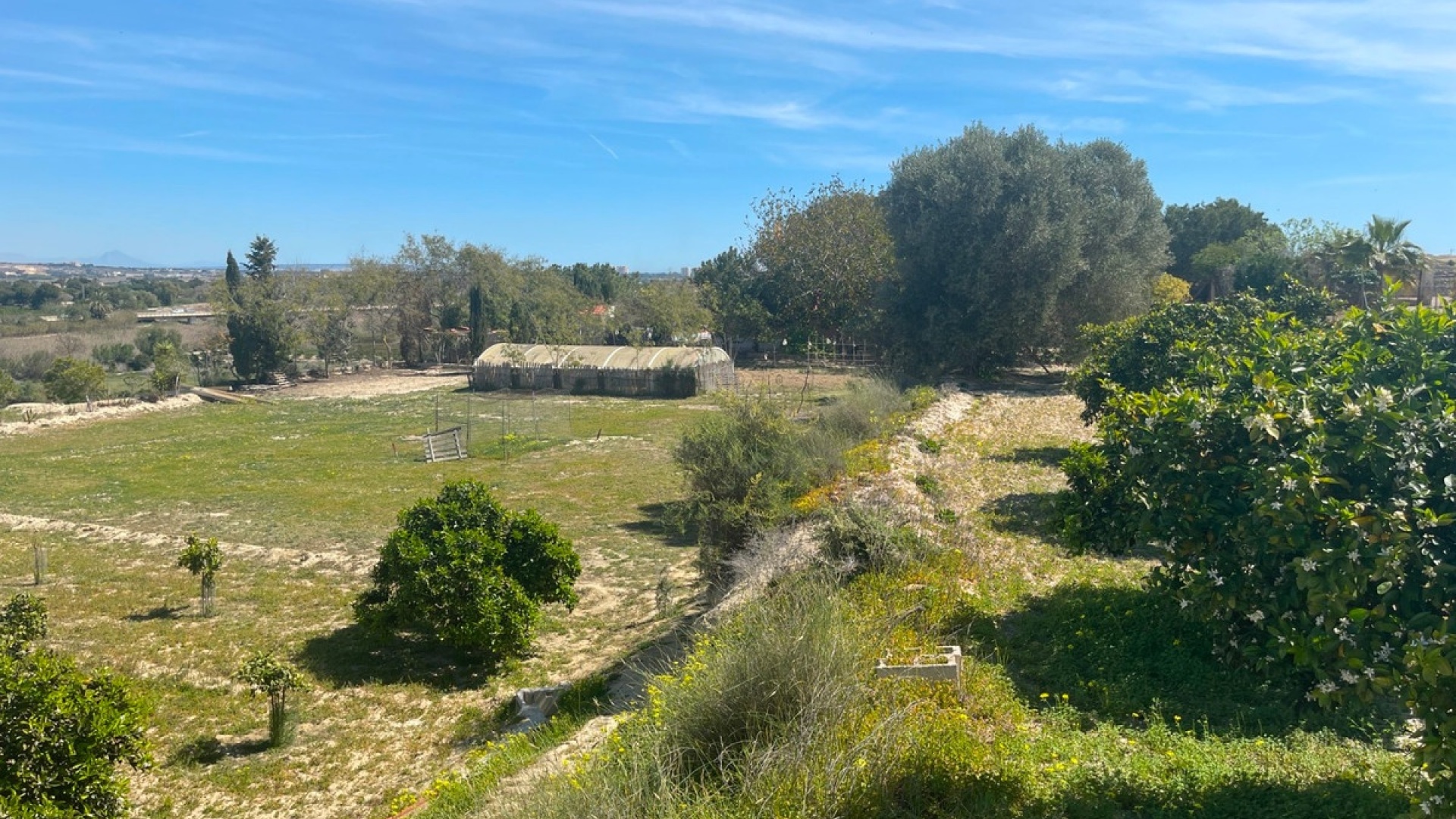 Revente - Villa - Guardamar del Segura - Guardamar del Segura Centro