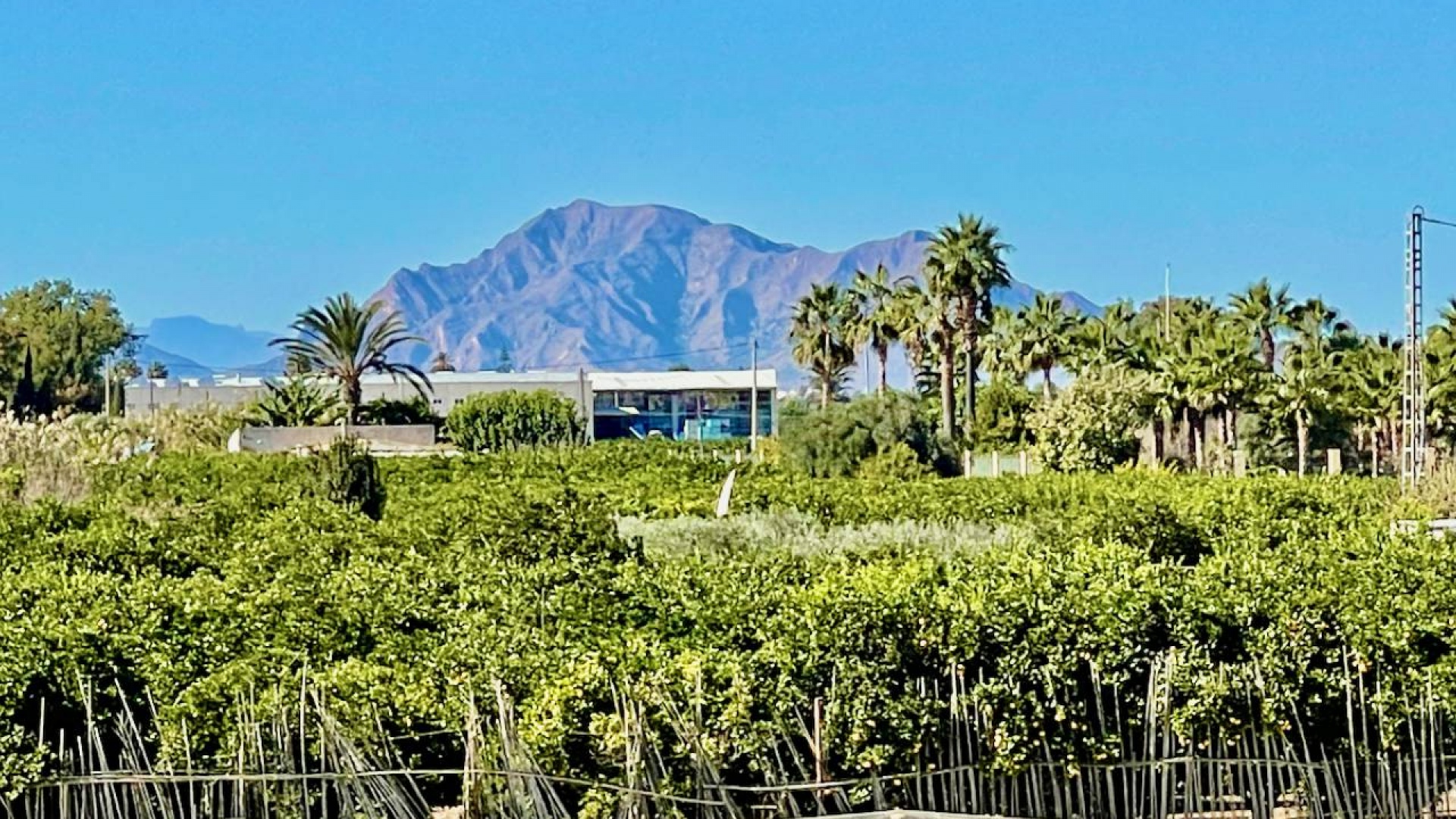 Revente - Villa - Guardamar del Segura