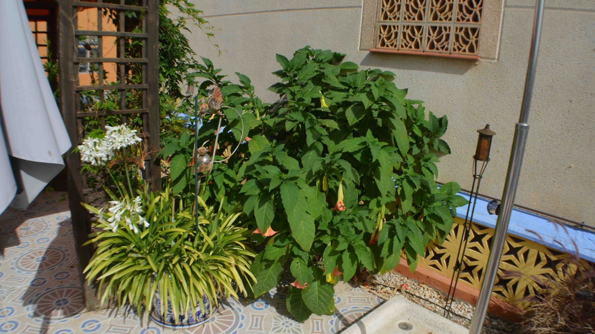 Revente - Villa - La Florida