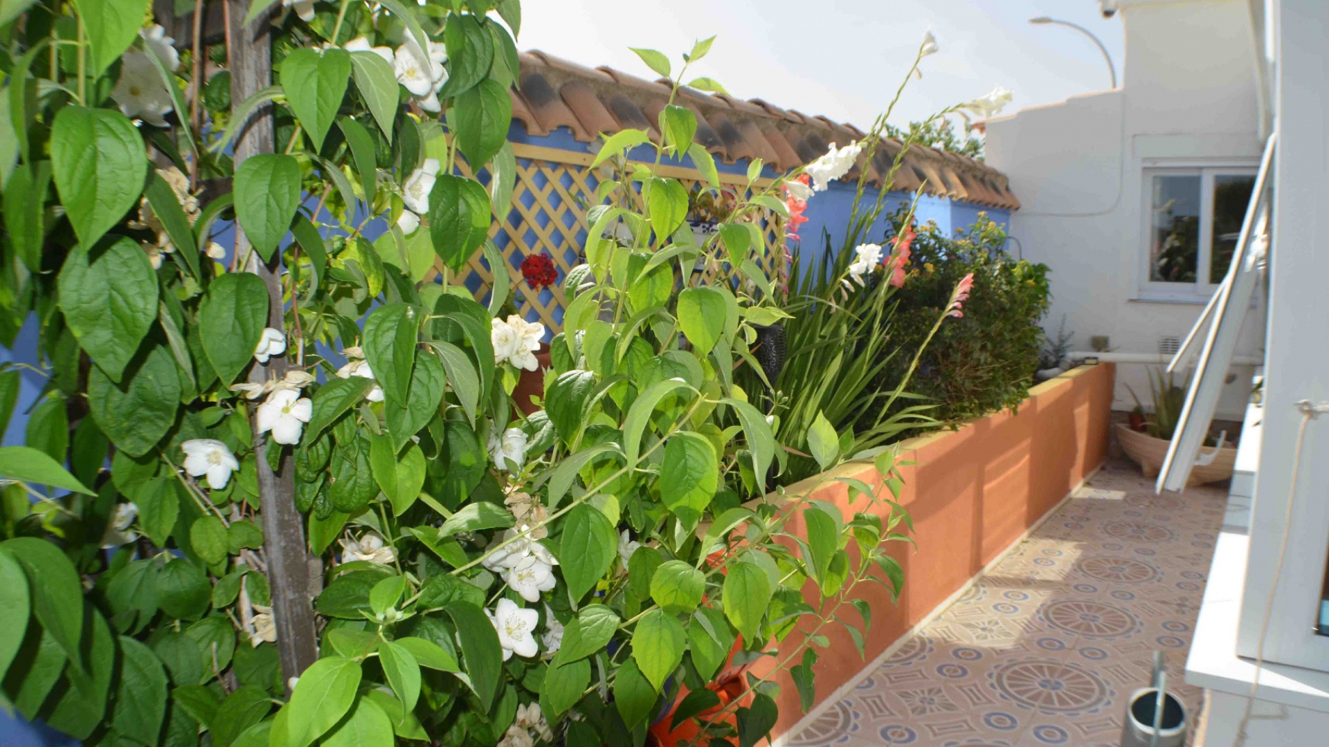 Revente - Villa - La Florida