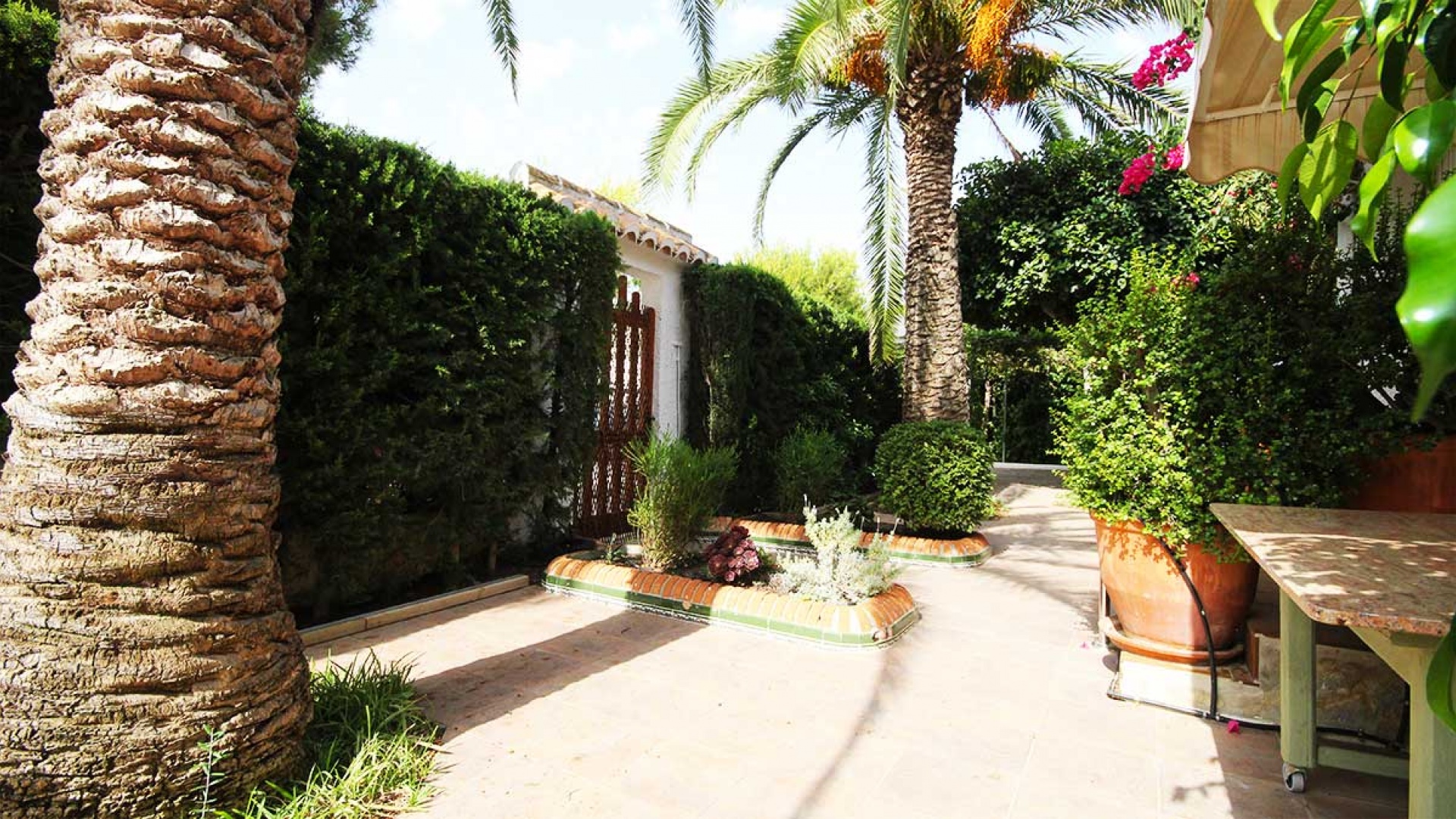 Revente - Villa - La Zenia - beachside la zenia