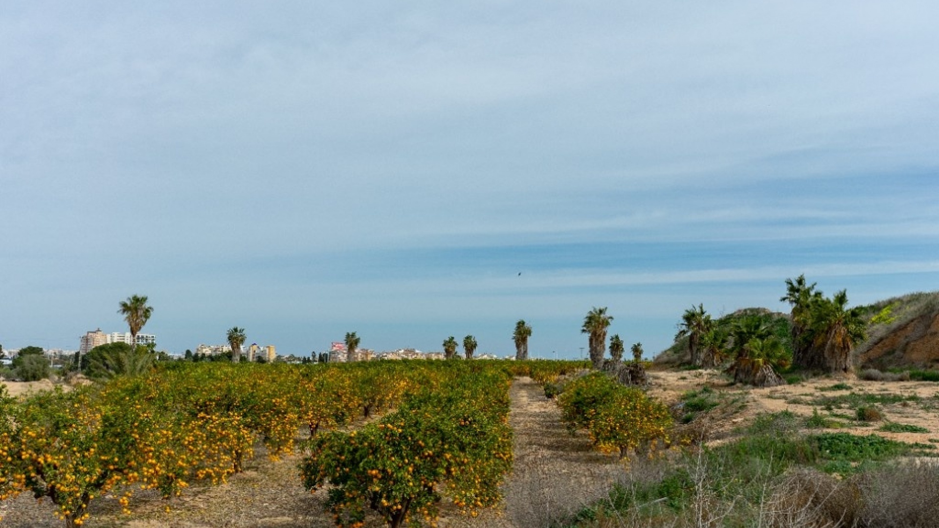 Revente - Villa - Los Altos