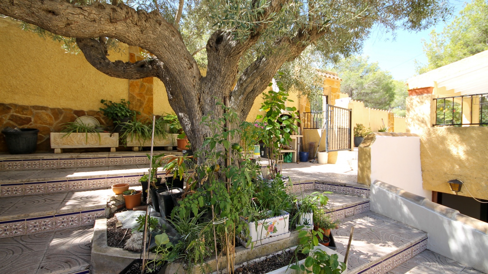 Revente - Villa - Orihuela Costa