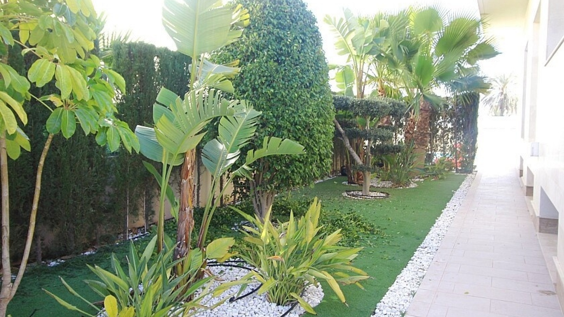 Revente - Villa - Orihuela - La Zenia