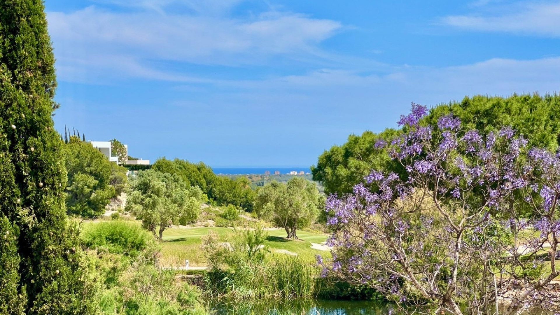Revente - Villa - Orihuela - Las Colinas Golf Resort