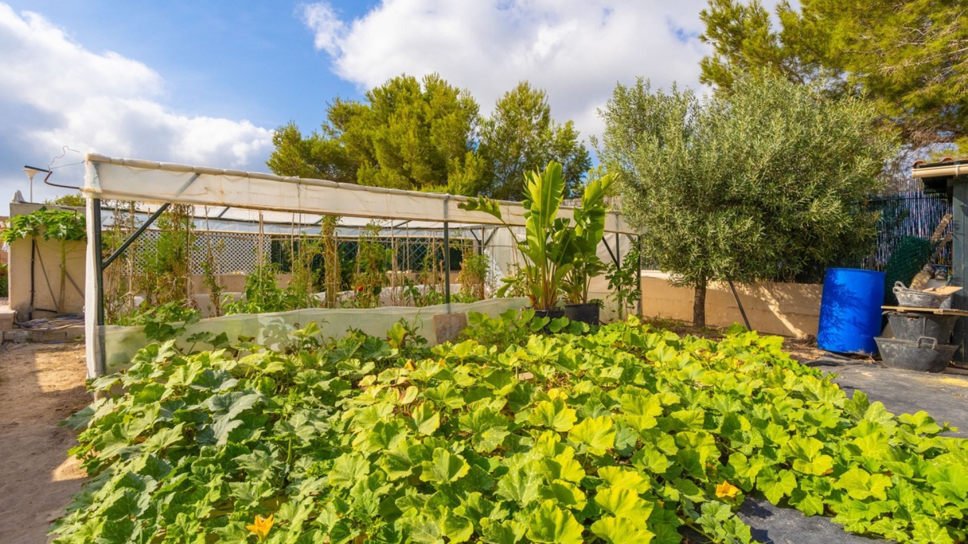 Revente - Villa - Orihuela - Villamartin