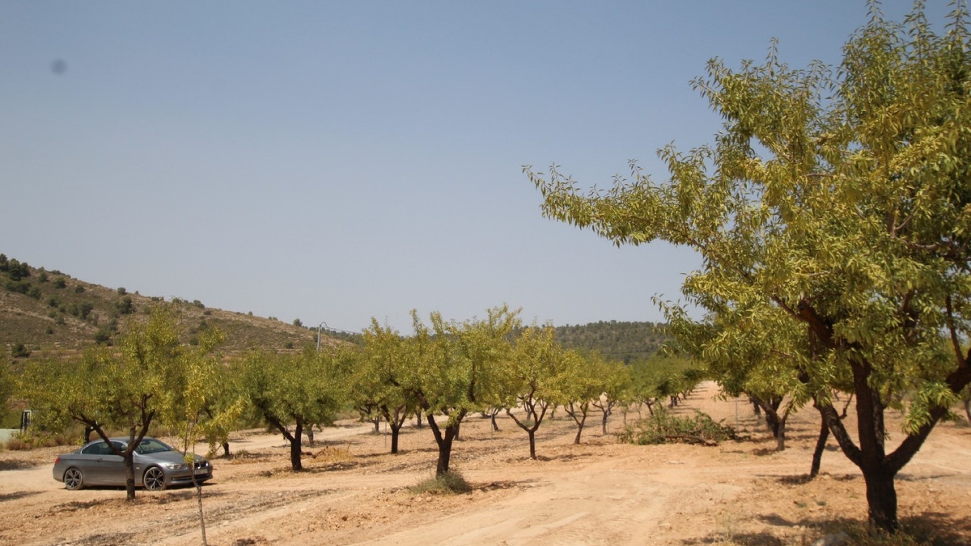 Revente - Villa - Pinoso - Pinoso Centro