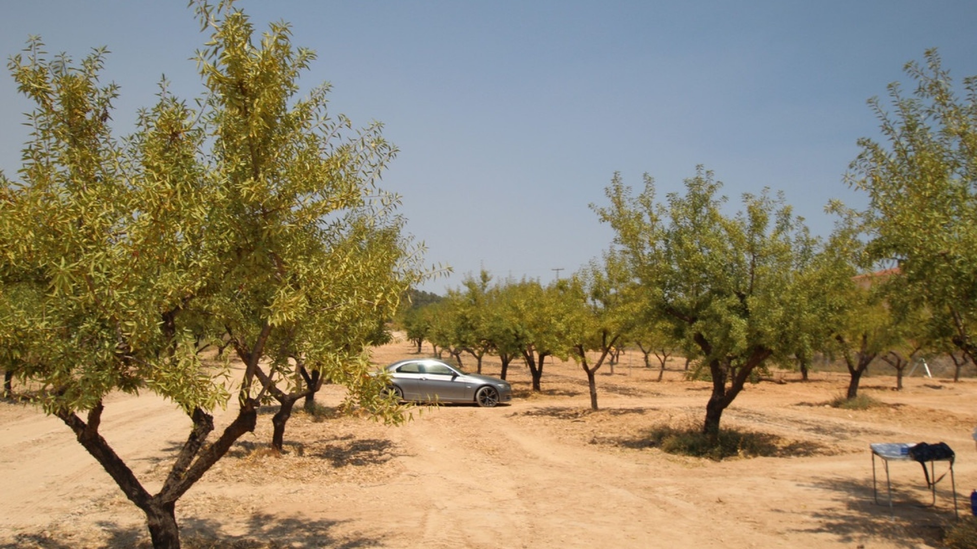 Revente - Villa - Pinoso - Pinoso Centro