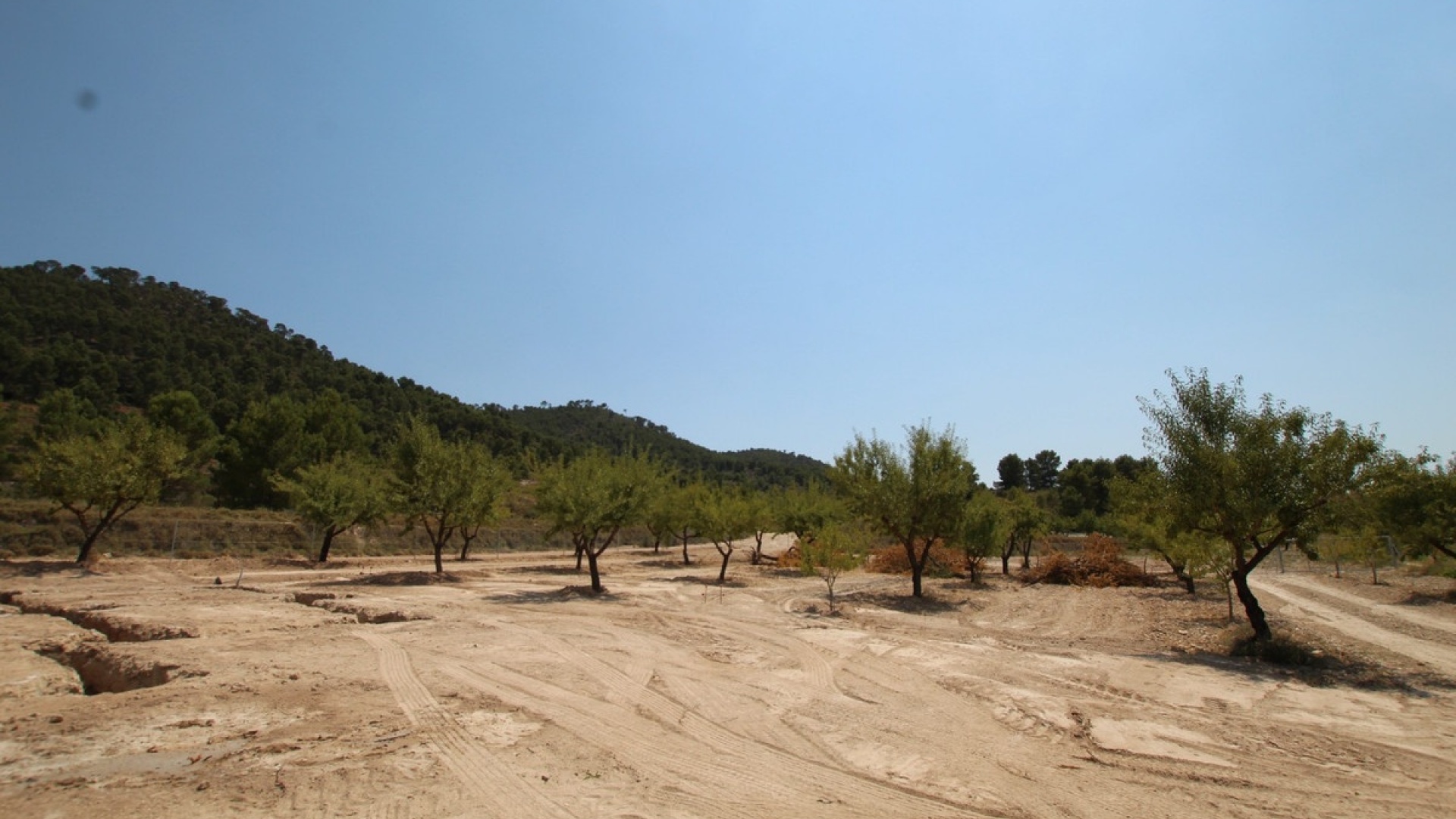 Revente - Villa - Pinoso - Pinoso Centro