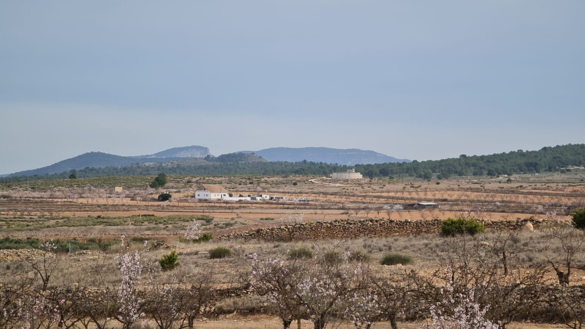 Revente - Villa - Pinoso - Pinoso Centro