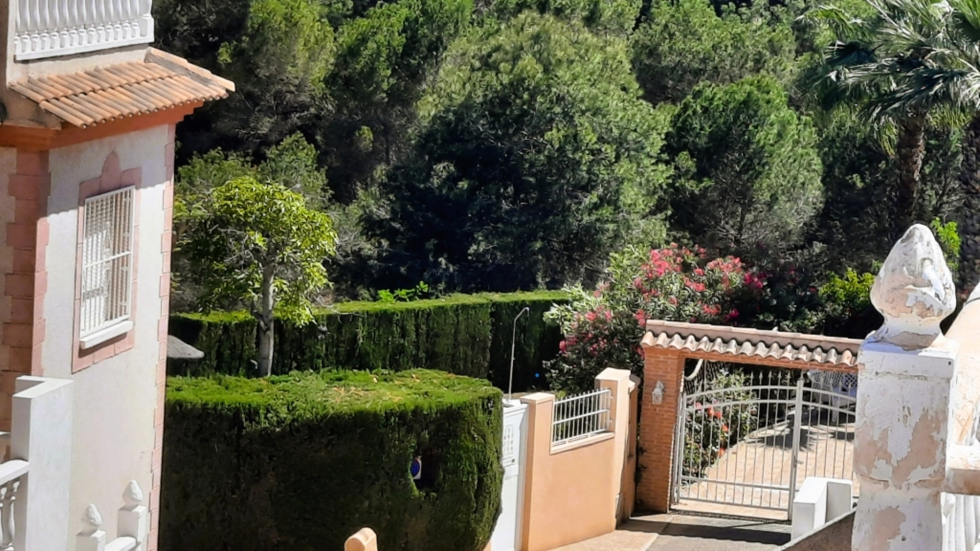 Revente - Villa - Playa Flamenca - flamingo hills